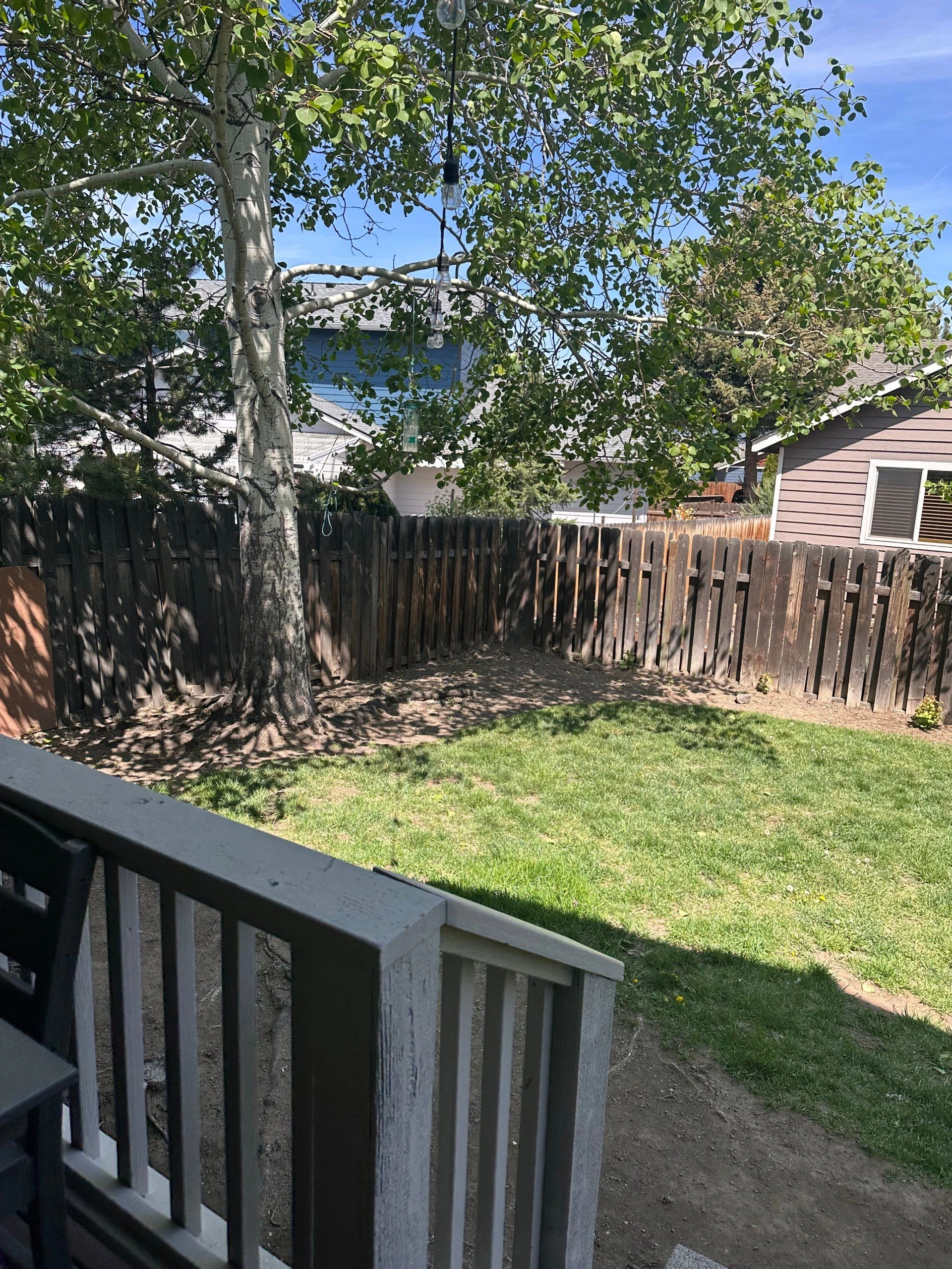 A leafy tree and hanging bulbs shade a fenced backyard with grass, bare soil, and a deck railing in the foreground.