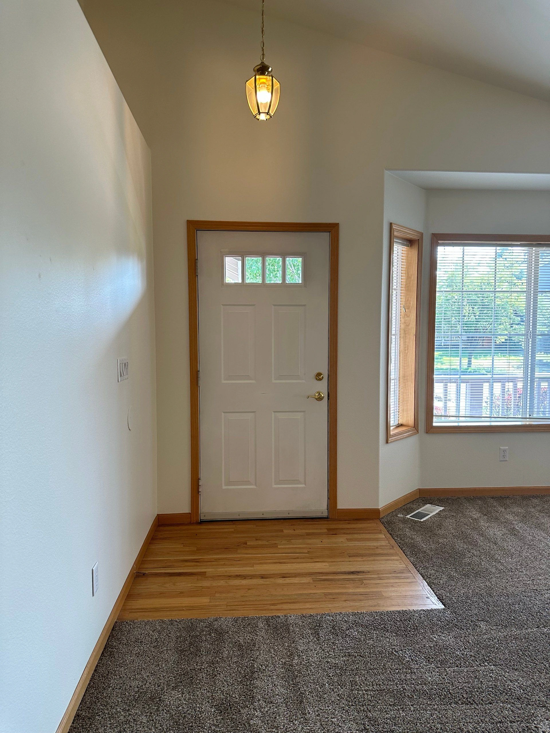 A white paneled door with a small upper window stands beside two windows; a hanging light, wood flooring, and carpet are visible.