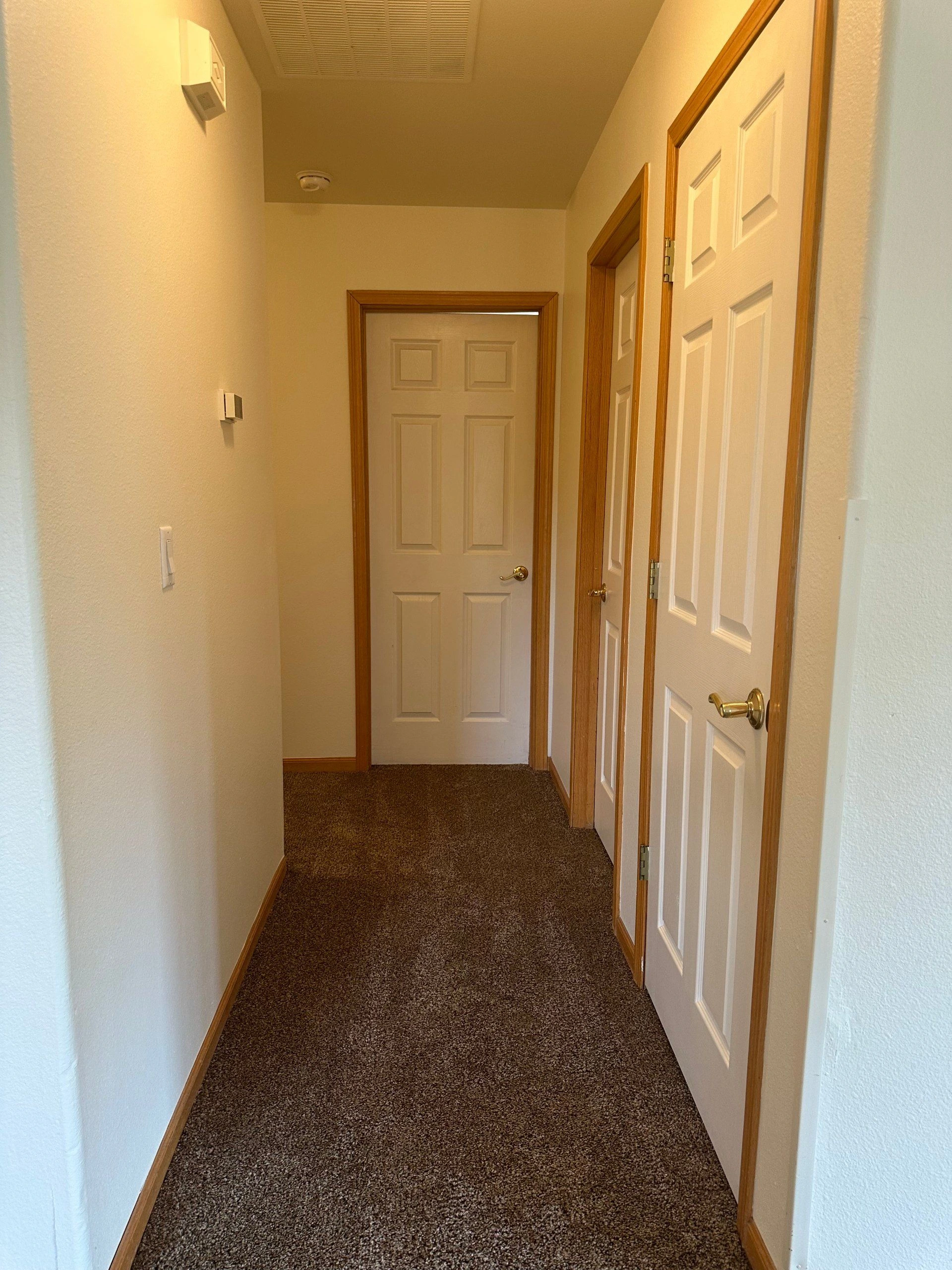 A narrow carpeted hallway with three white paneled doors and wood trim.