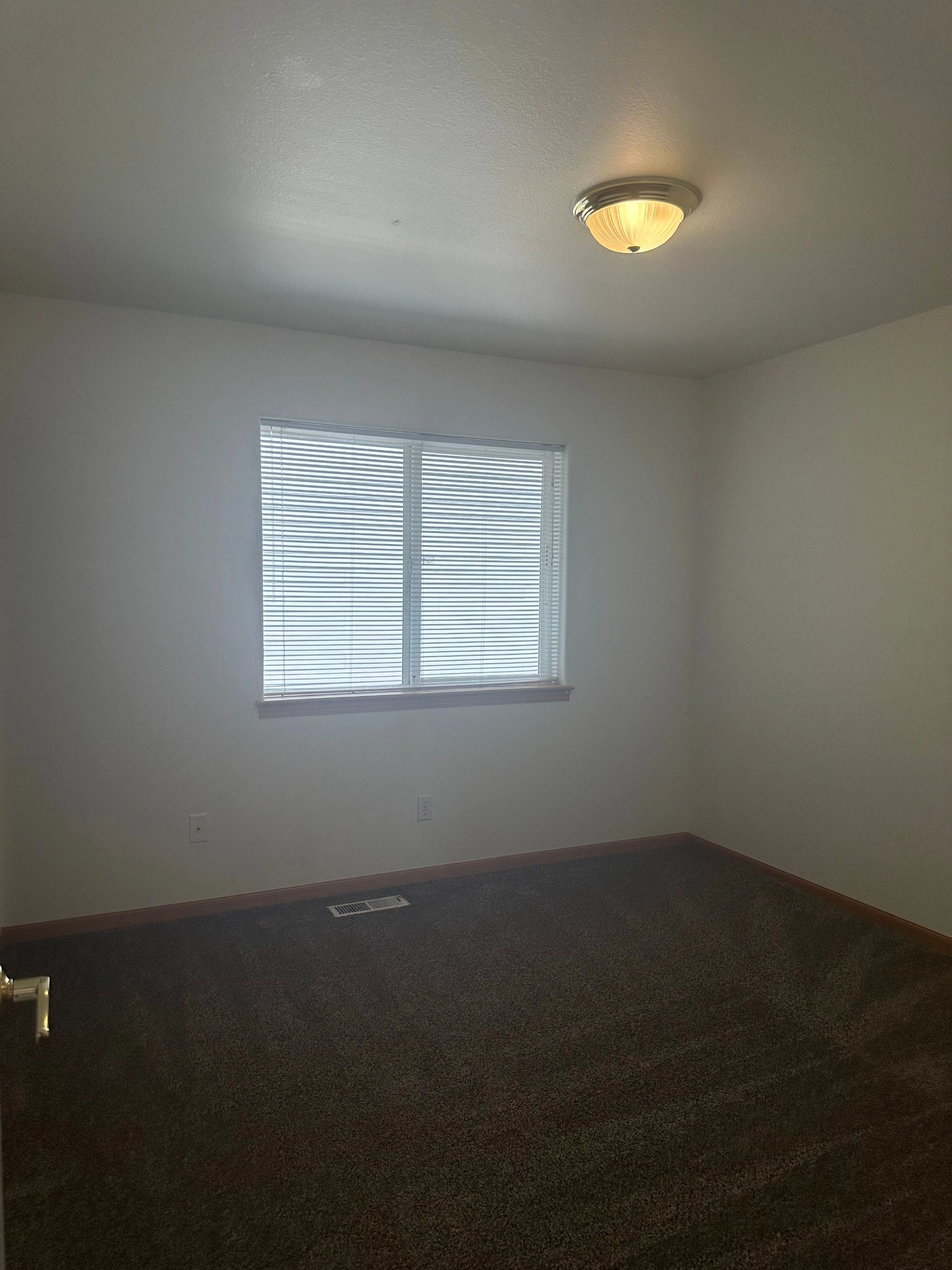 An empty room with dark carpet, pale walls, a window with horizontal blinds, and a lit ceiling fixture.