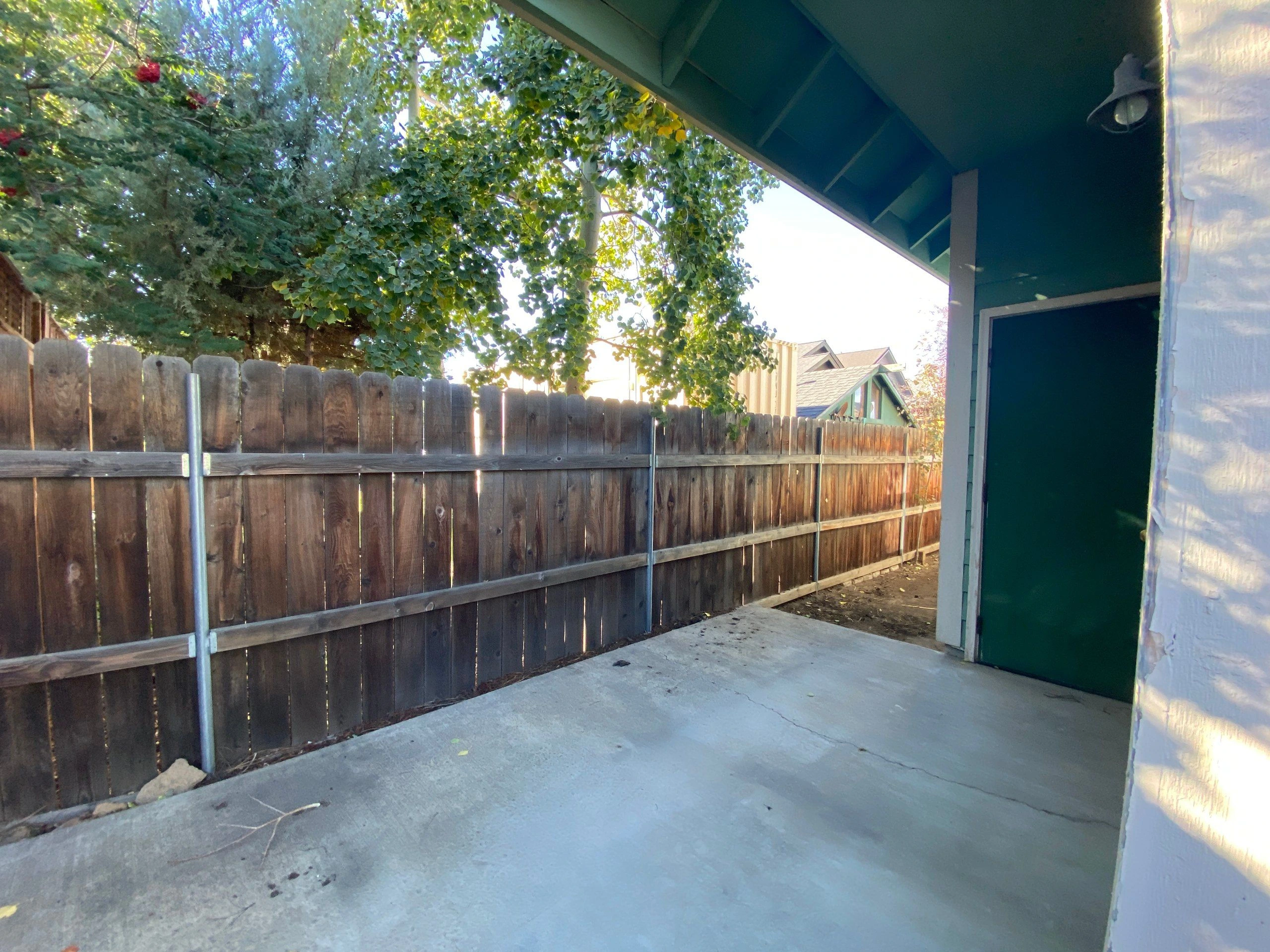 A concrete patio beneath a covered roof has a wooden fence, leafy branches overhead, and a green door at the side.