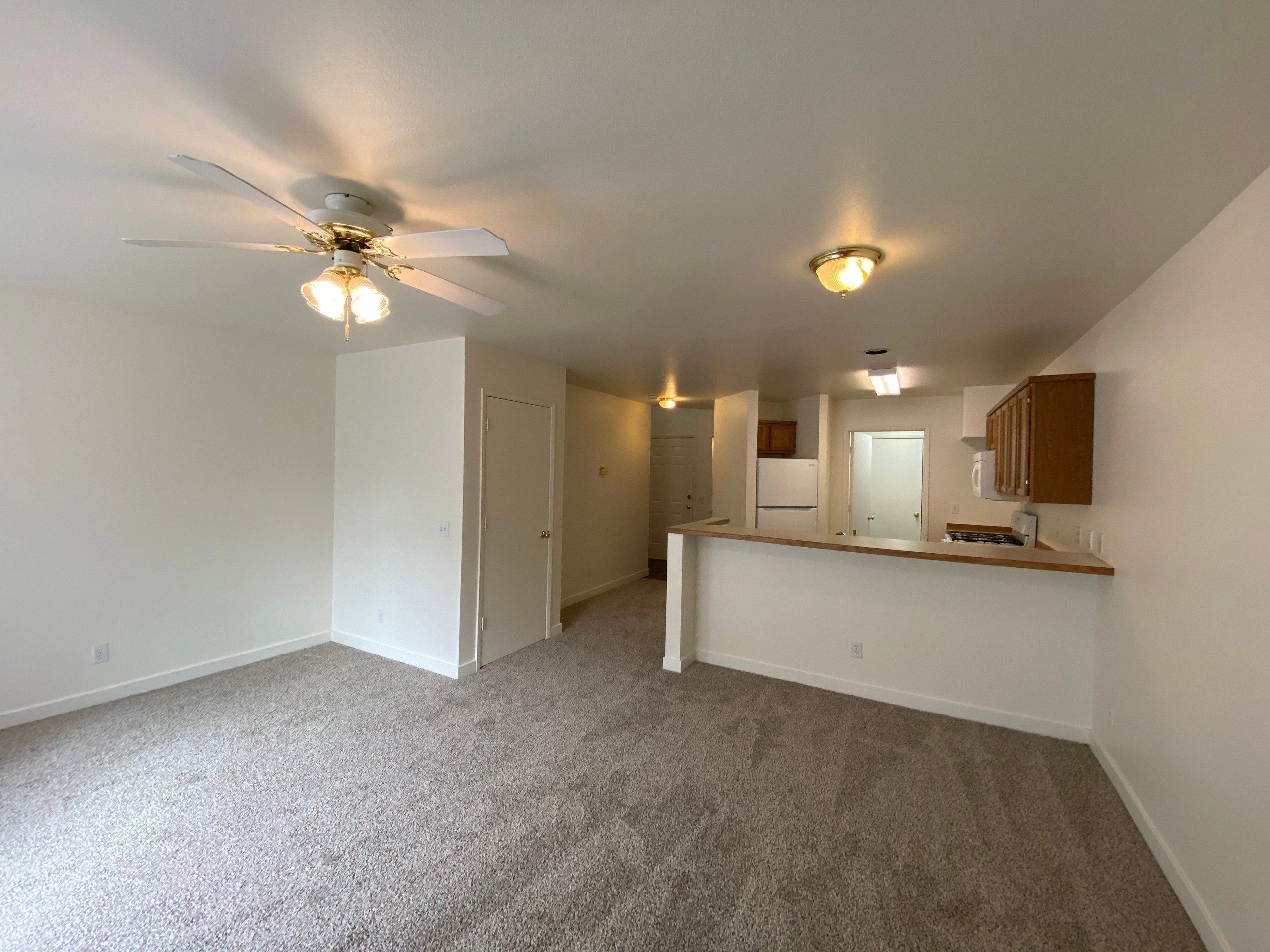 A carpeted room opens to a kitchen with a counter, wooden cabinets, a refrigerator, and a ceiling fan with lights.