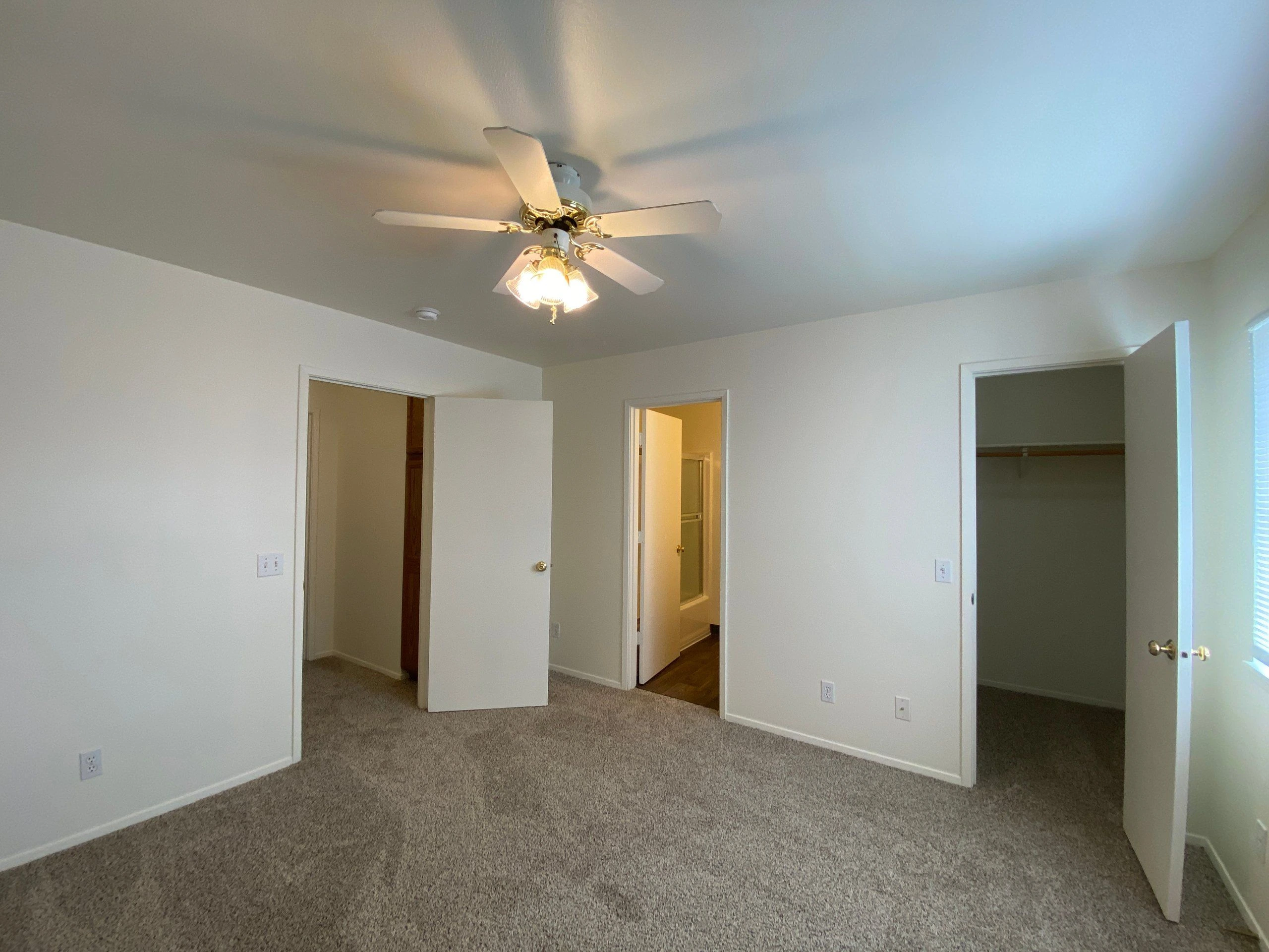 An empty carpeted room has white walls, a ceiling fan with a lit fixture, and several open doors, including one to a closet.