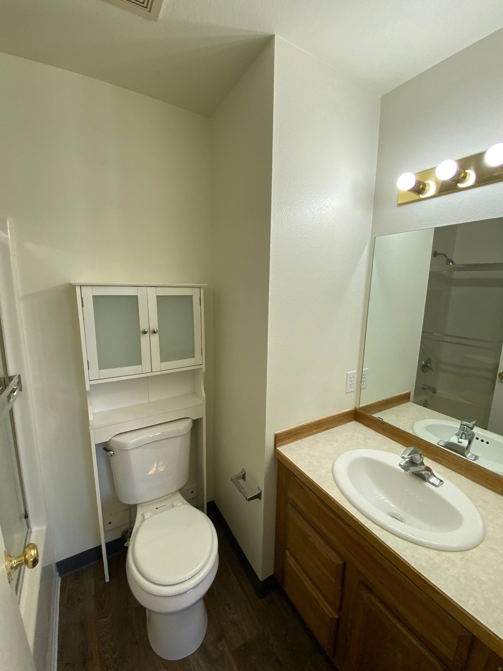 A bathroom with a toilet beneath a wall cabinet, a sink in a wood-front vanity, and a mirror beneath lit bulbs.