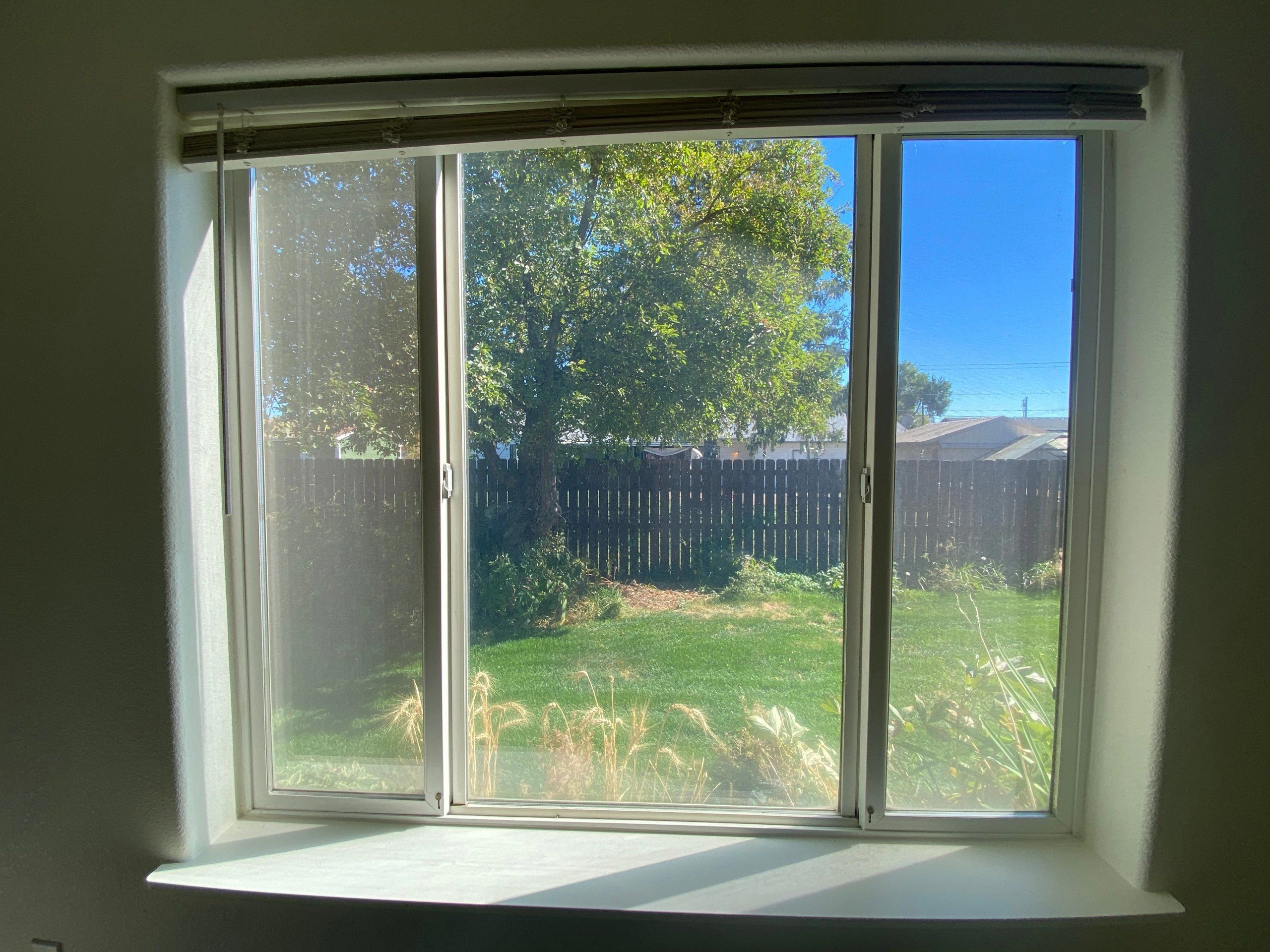 A large white-framed window with raised blinds looks onto a leafy tree, lawn, wooden fence, and neighboring rooftops.