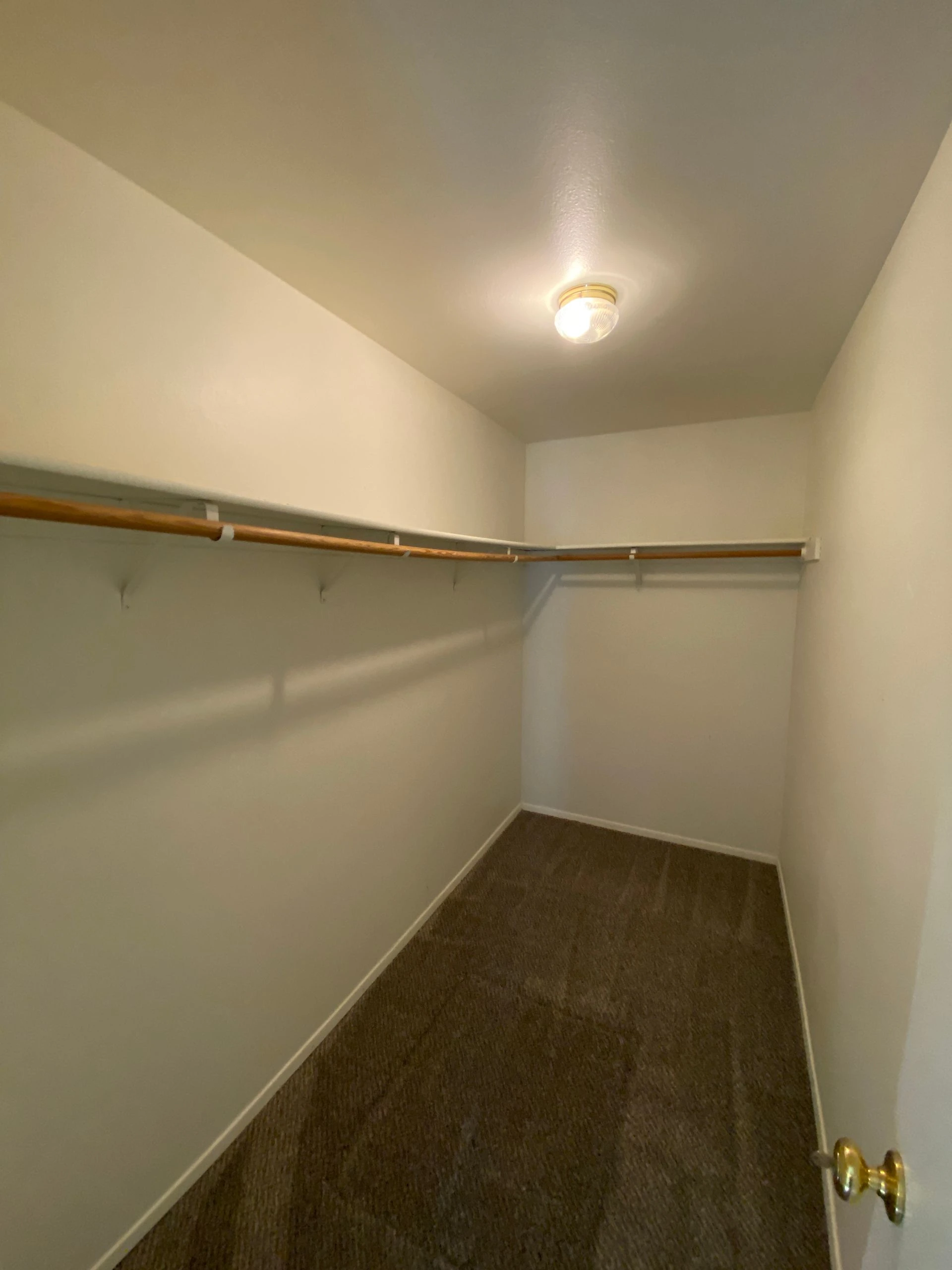 An empty narrow closet has a wooden clothes rod, brown carpet, pale walls, and a lit ceiling fixture.