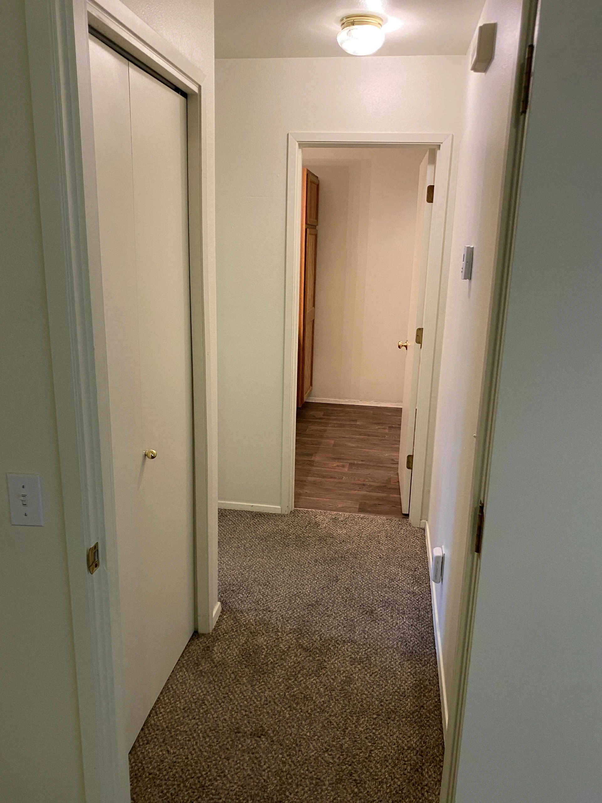 A carpeted hallway with a closed sliding door on the left and an open doorway leading to a wood-floored room.