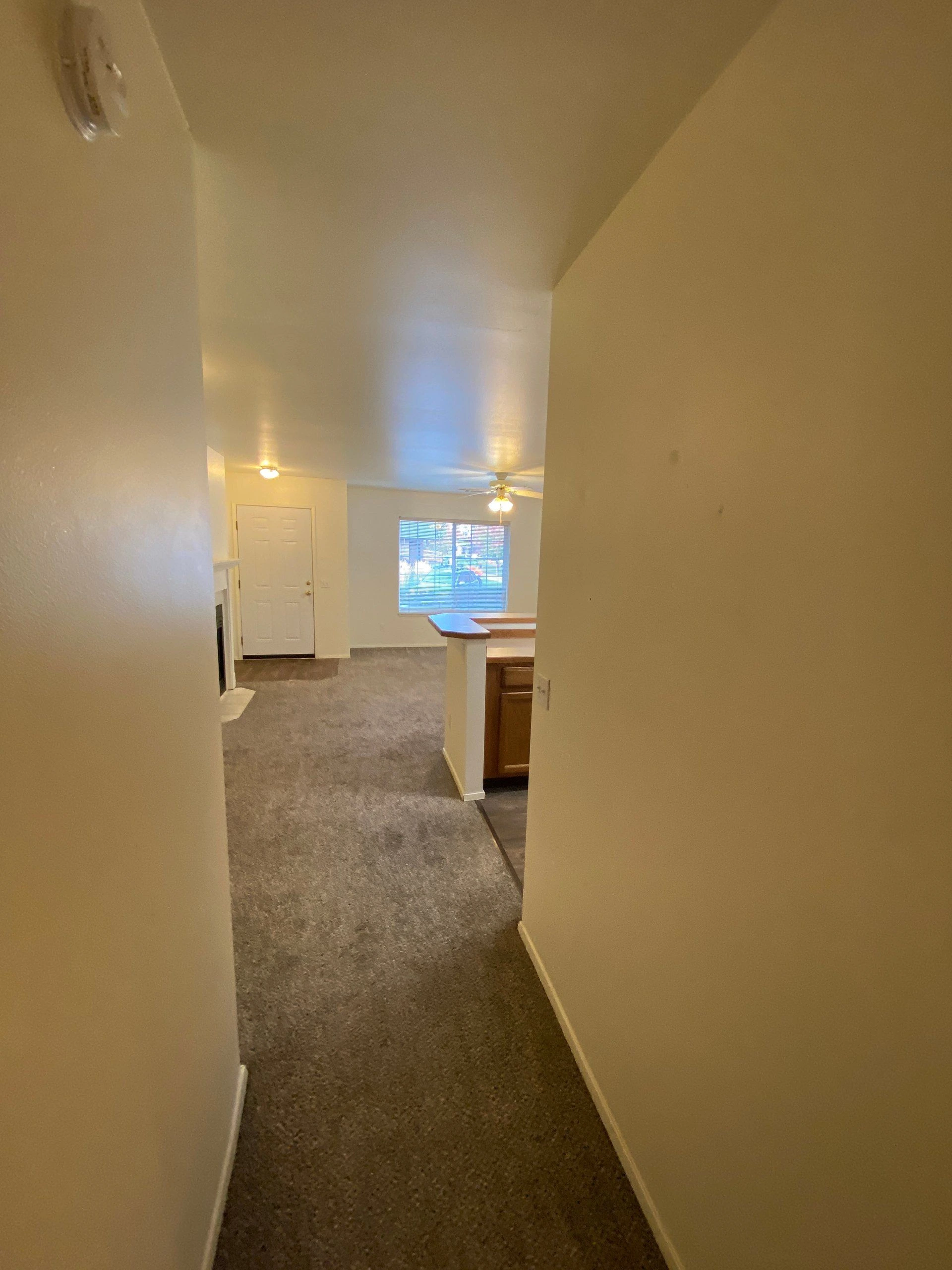 A carpeted hallway opens into a room with a window and blinds, a white door, a ceiling fan, and a partial counter.