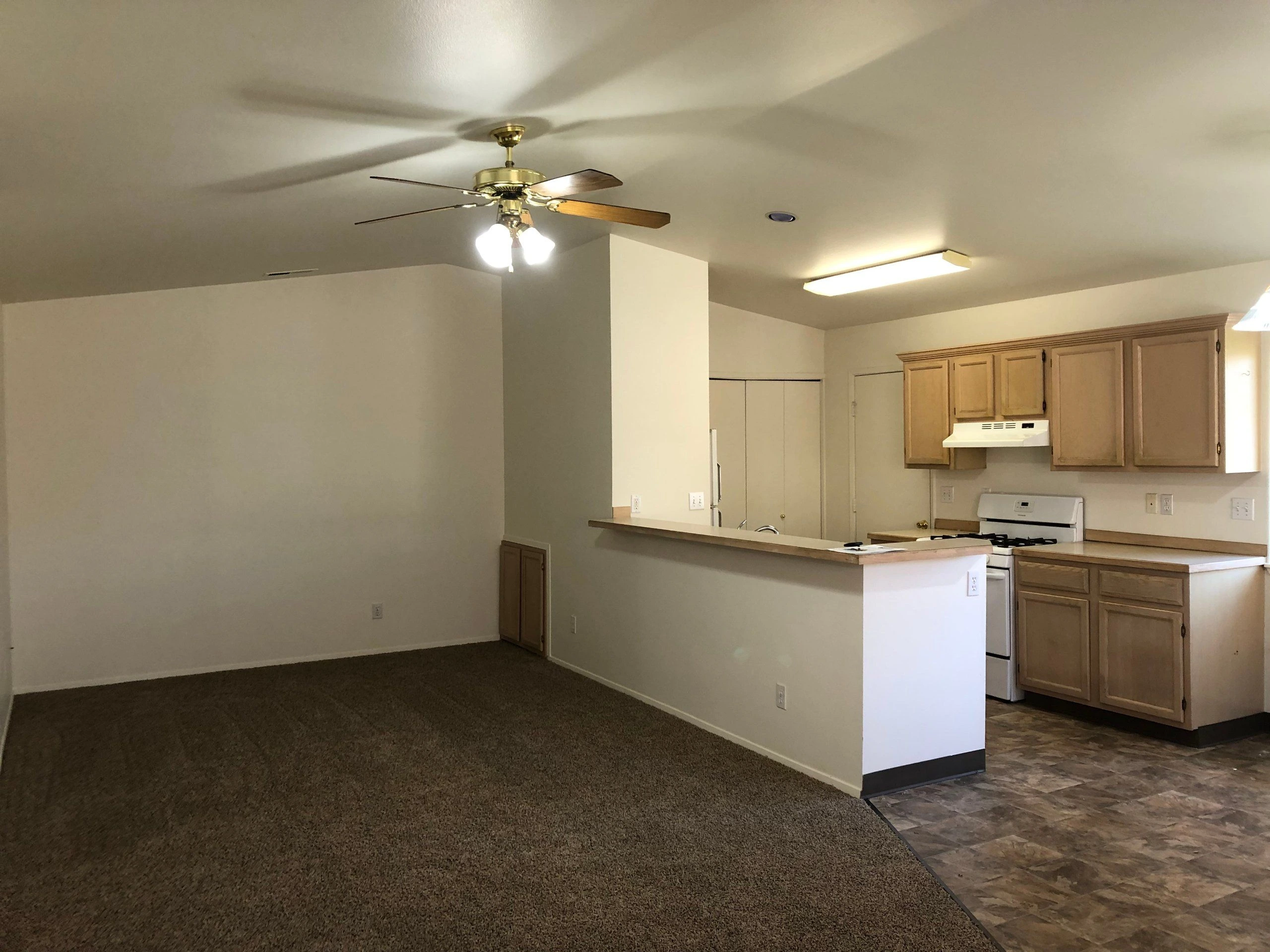 An open room with carpeted flooring connects to a kitchen with wood cabinets, a white stove, and a counter; a ceiling fan and lights hang above.