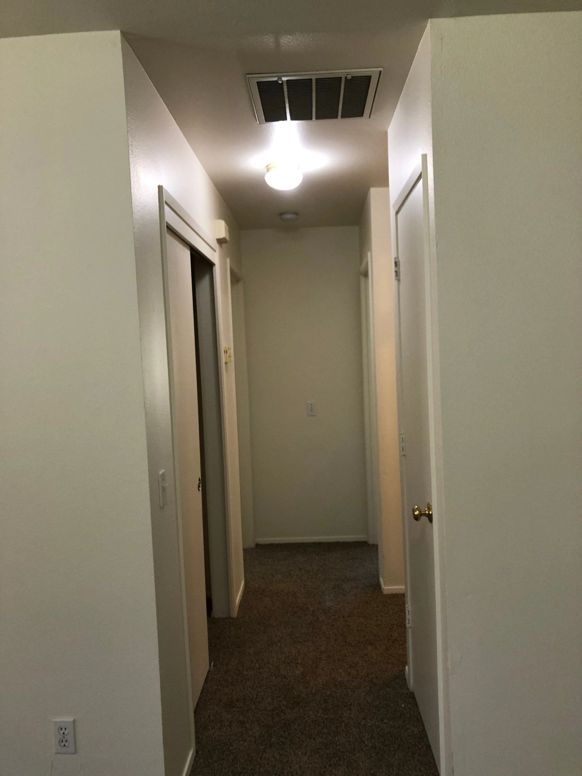 A carpeted hallway with light-colored walls, open doorways, and ceiling lights.