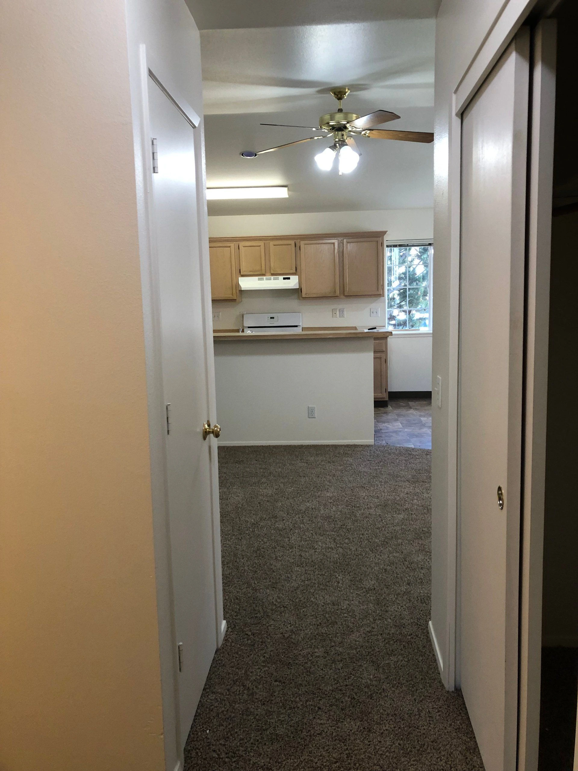 A carpeted hallway opens onto a kitchen with wood cabinets, a ceiling fan with lights, and a window.
