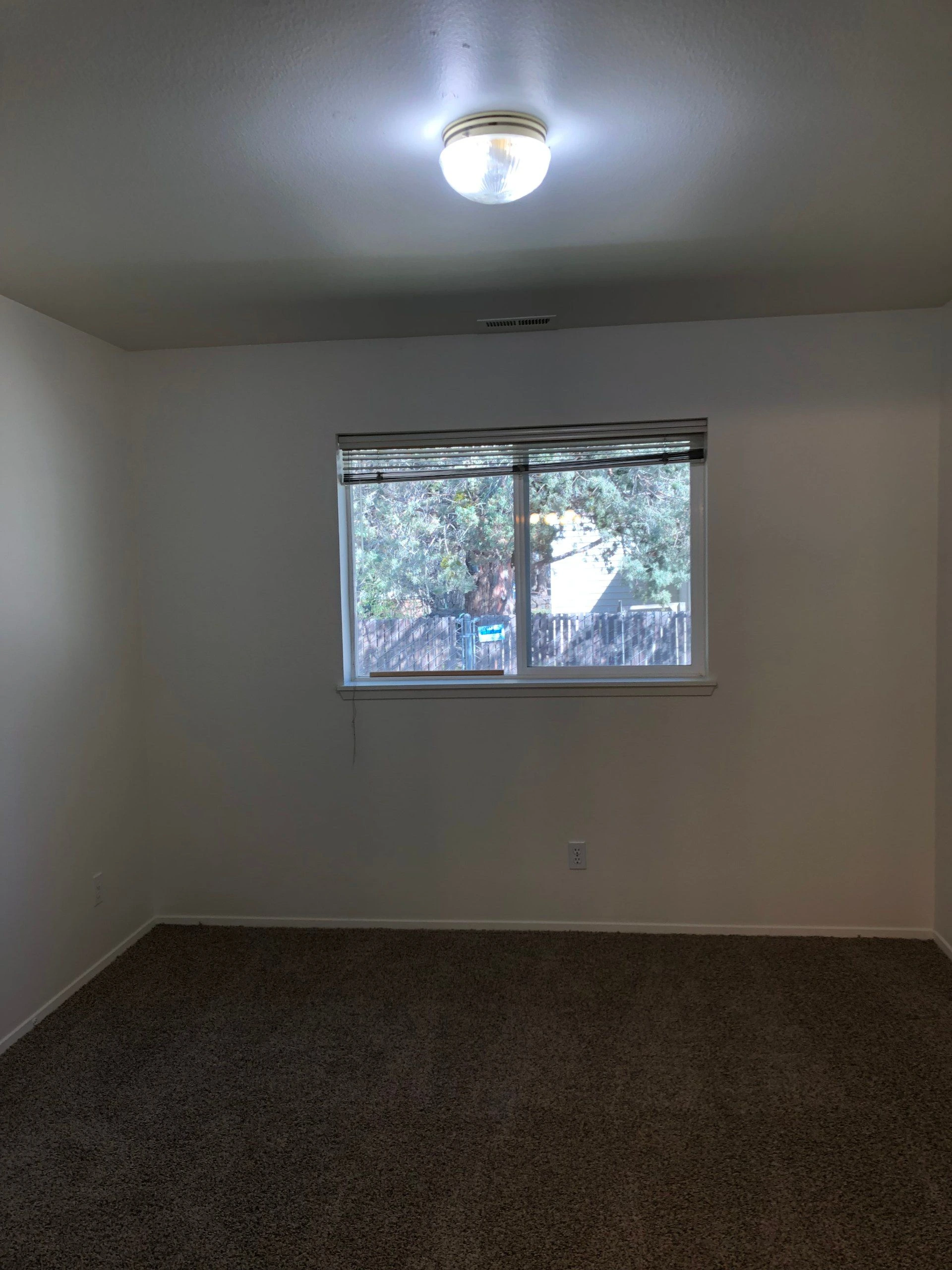 An empty room with carpeted floor, a window with blinds, and a lit ceiling fixture.