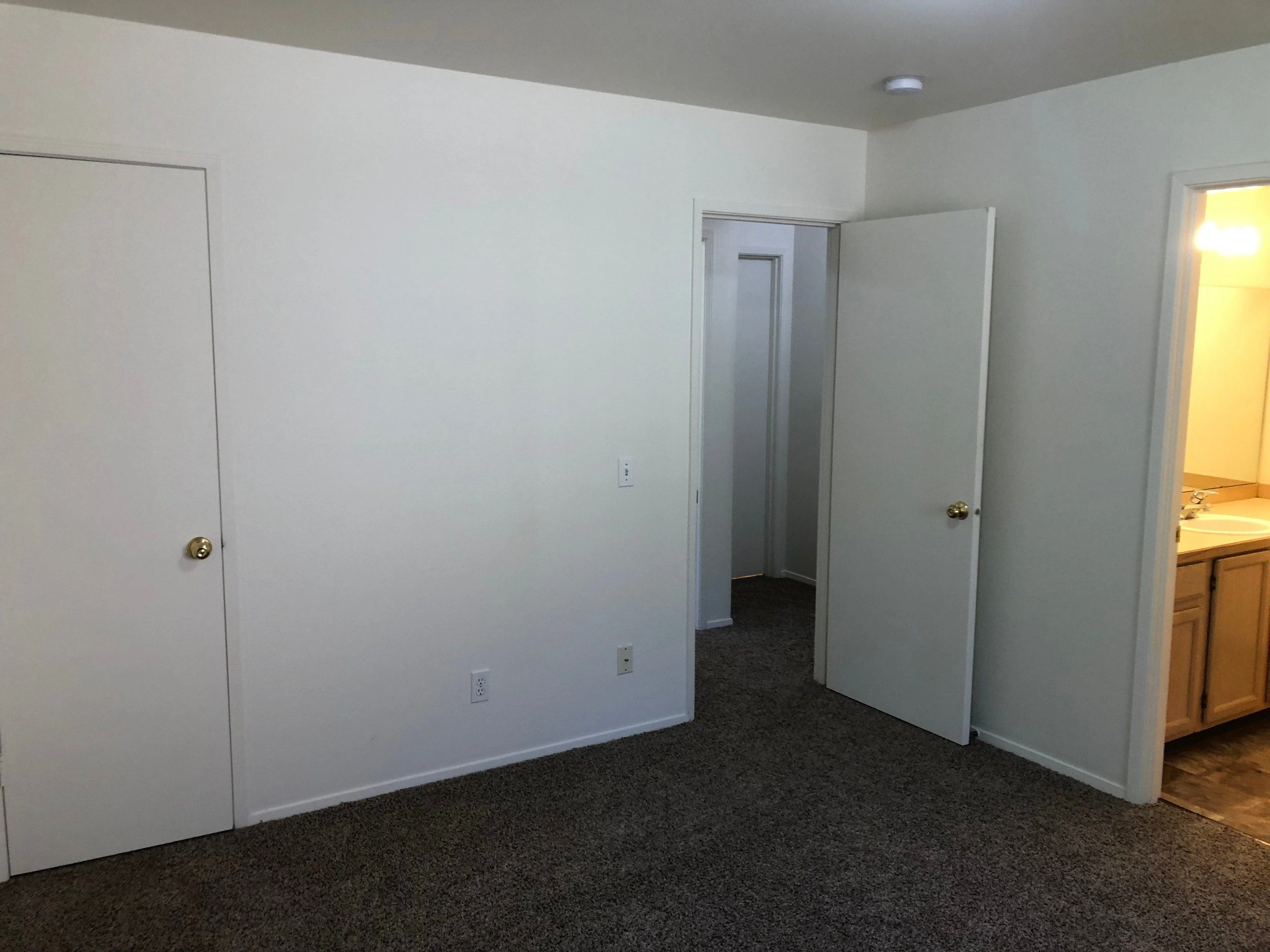 A carpeted room with white walls, two doors, and an open doorway showing a lit sink and wooden cabinets.