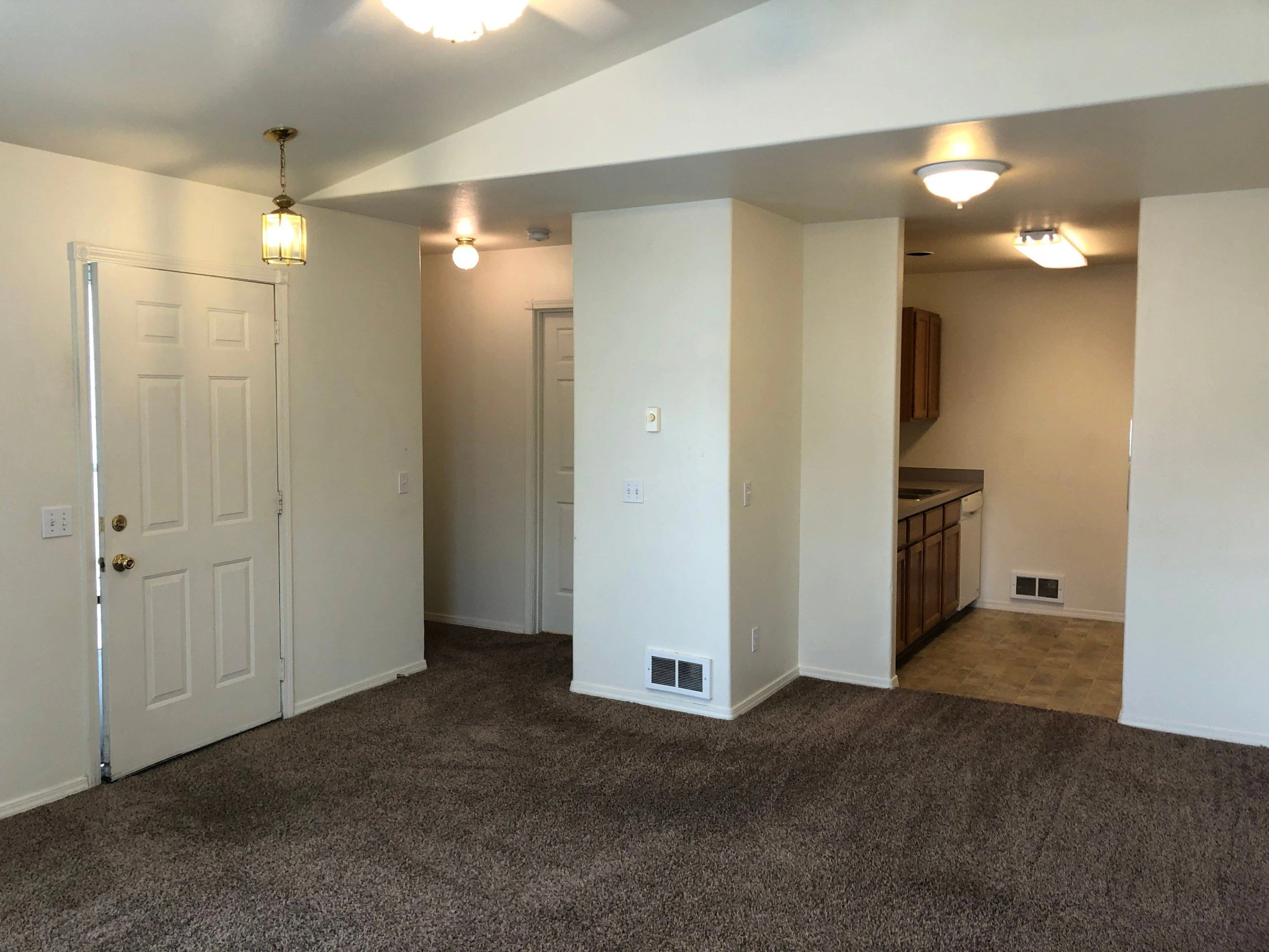 An empty carpeted room opens to a tiled kitchen with dark wood cabinets; a white entry door and several ceiling lights are visible.