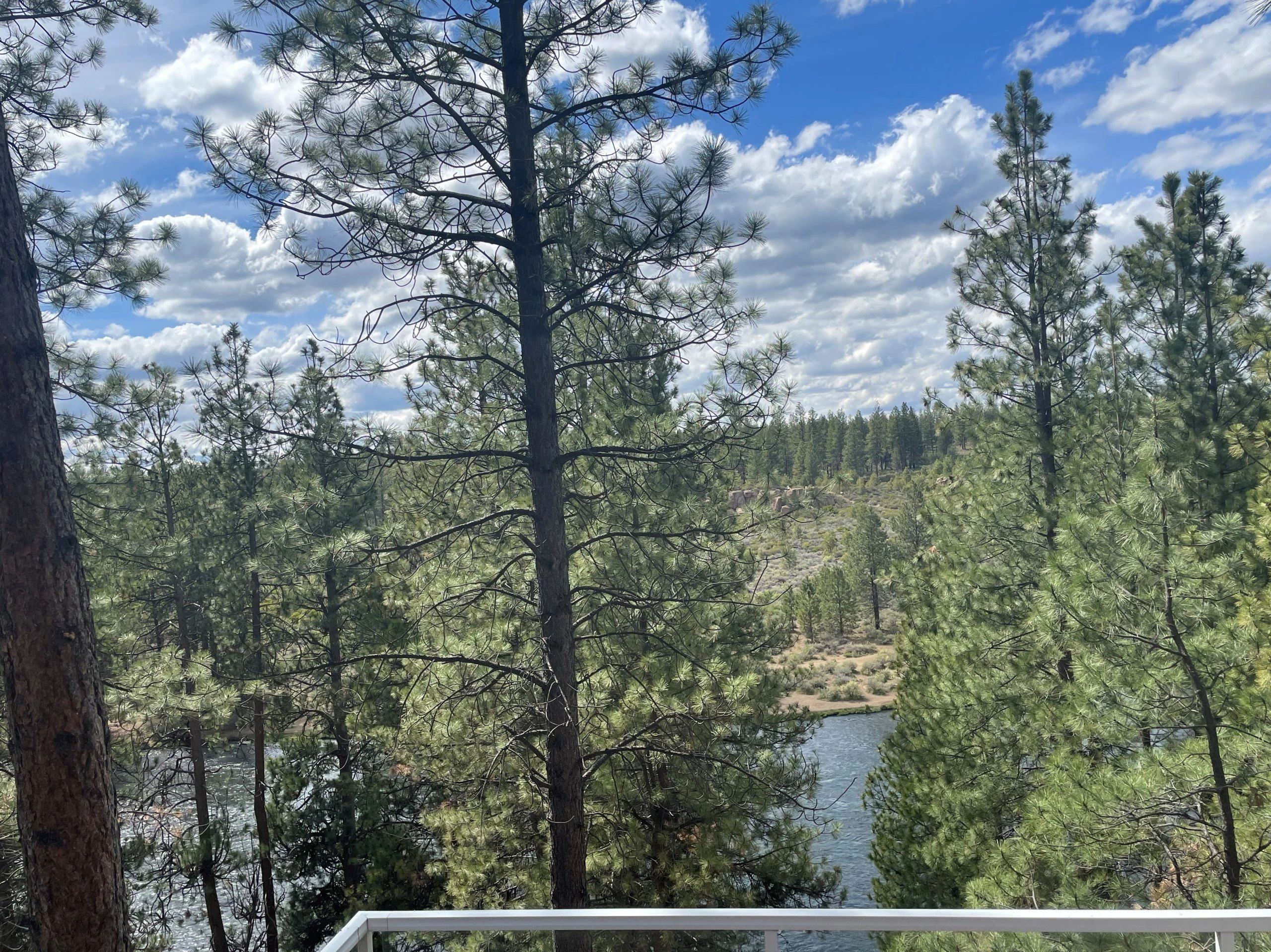 Pine trees frame a river and wooded hillside beneath a partly cloudy blue sky, with a white railing in the foreground.