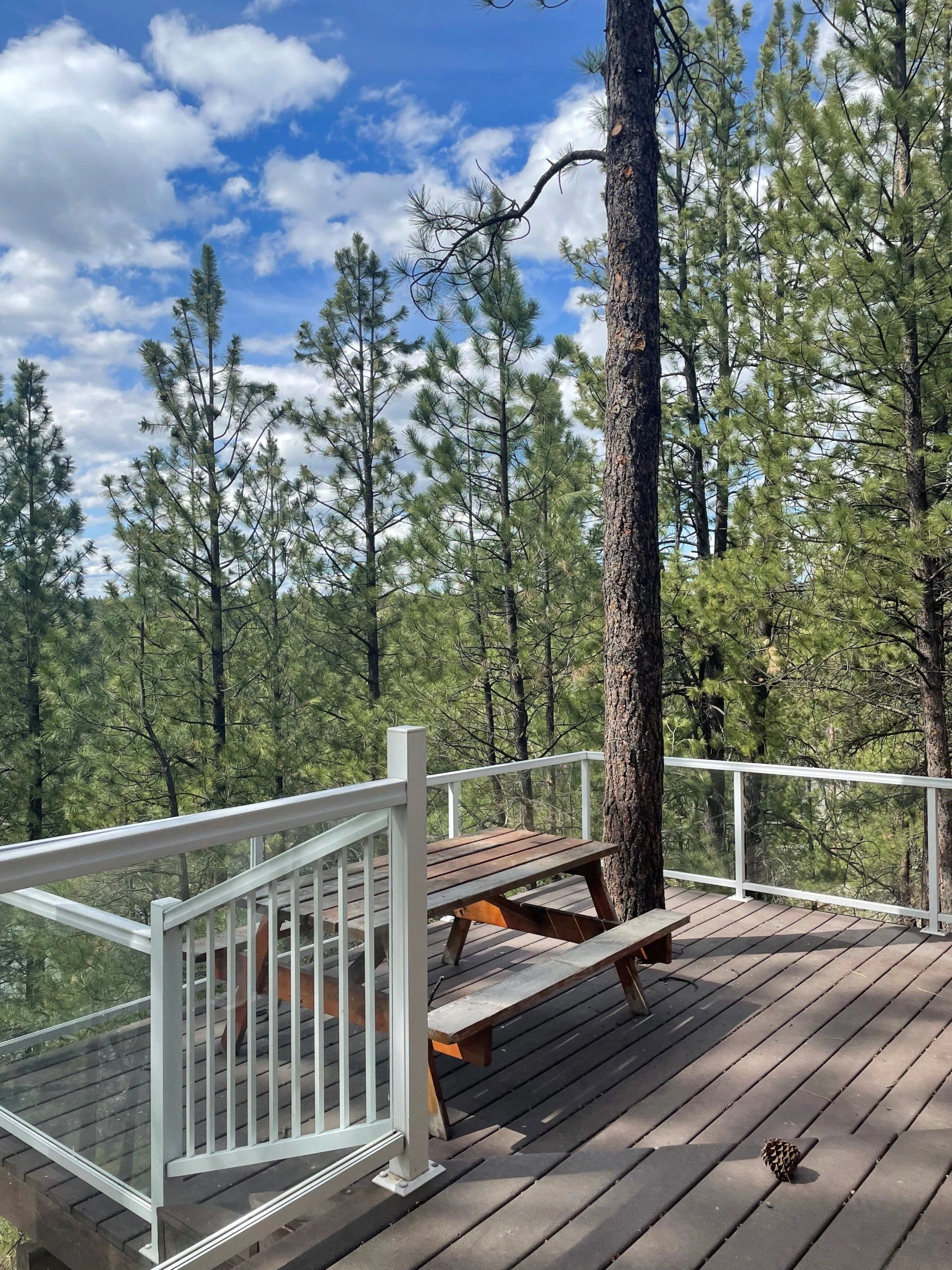A wooden deck with picnic tables and white railings overlooks pine trees beneath a partly cloudy blue sky.