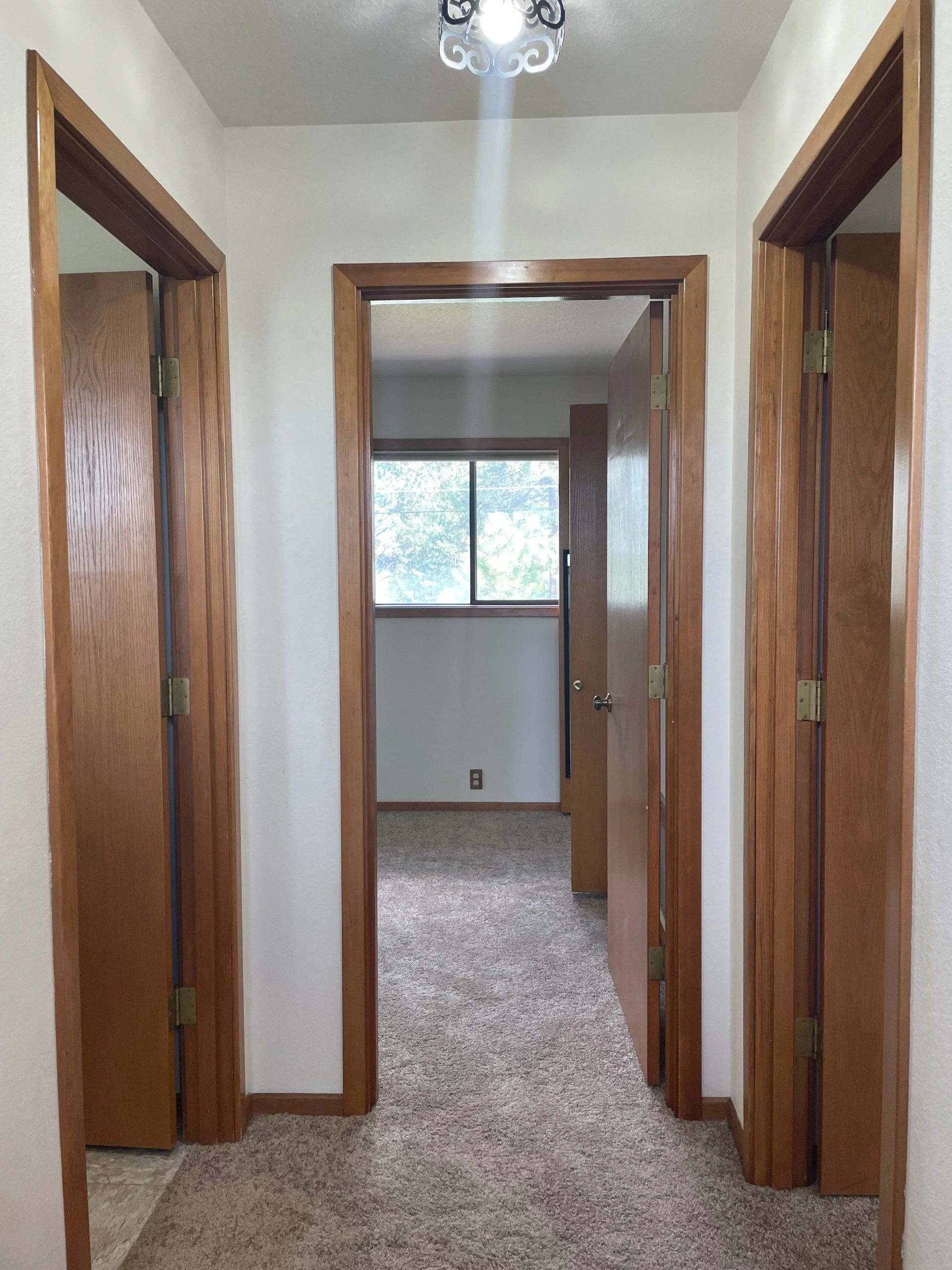 A carpeted hallway with several open wooden doors leads to a room with a window.