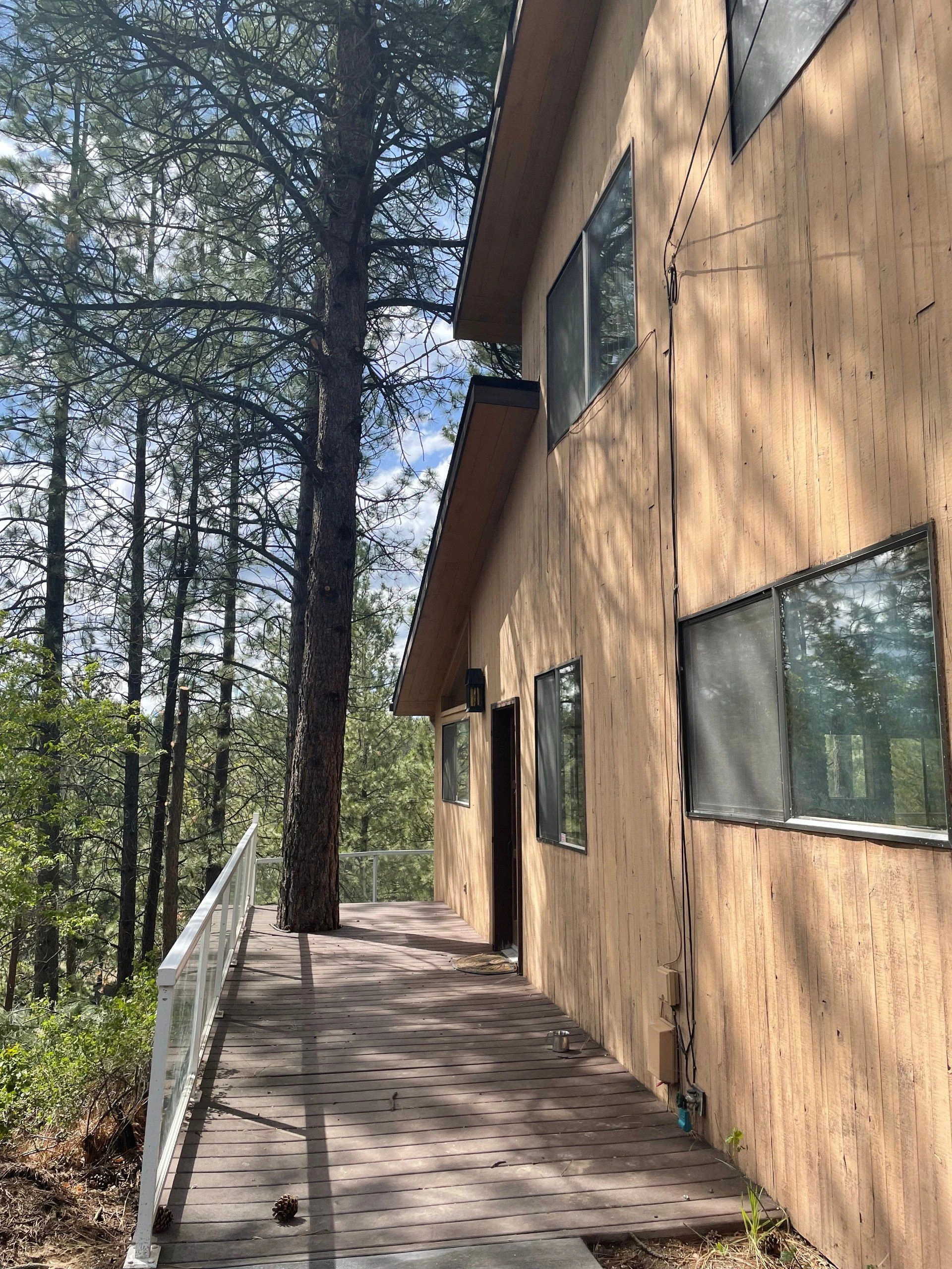 A wooden deck with a glass railing runs beside a wood-sided building with windows and a door, among tall trees.