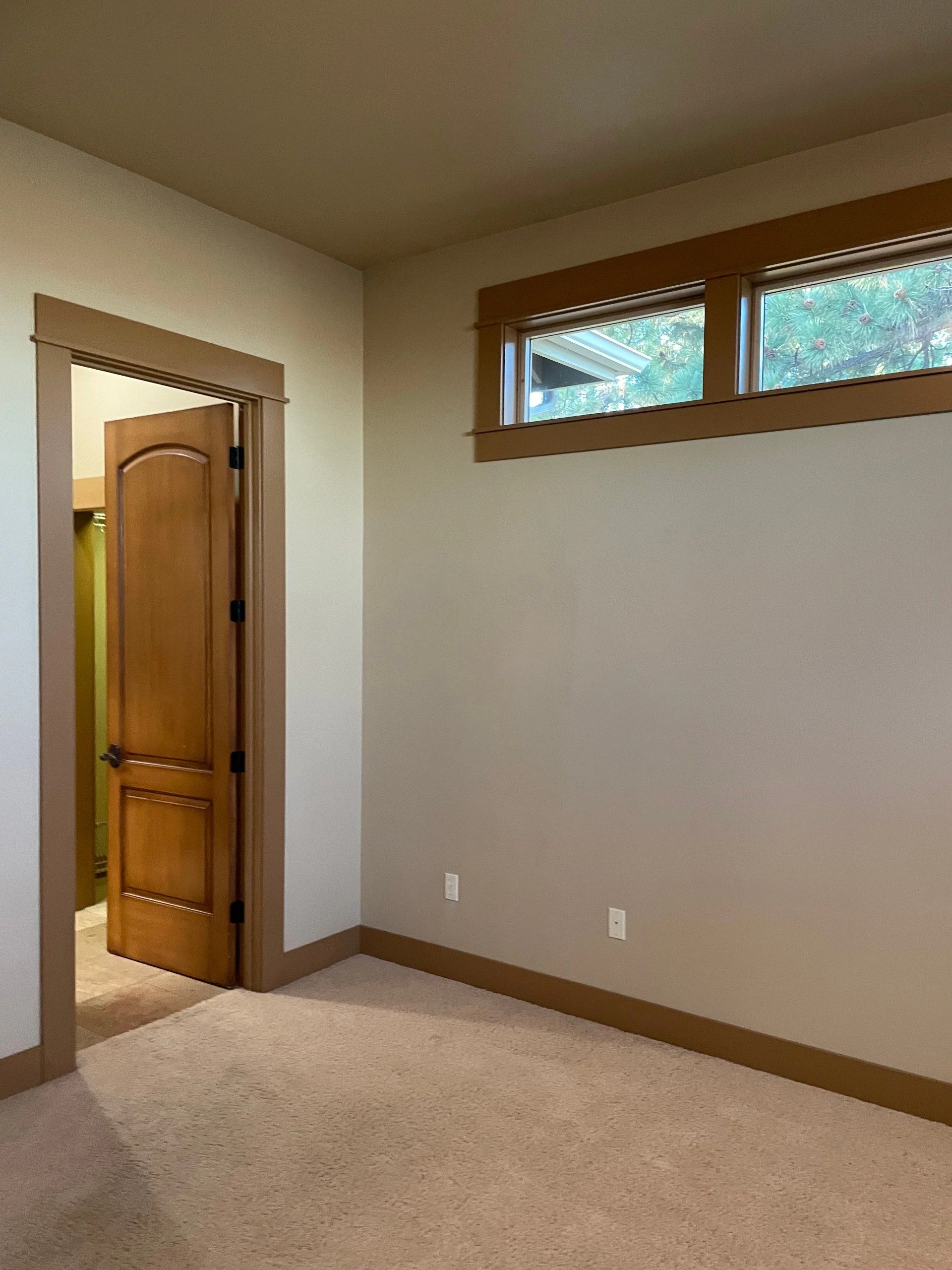 A carpeted room has an open wooden door and high horizontal windows overlooking trees.