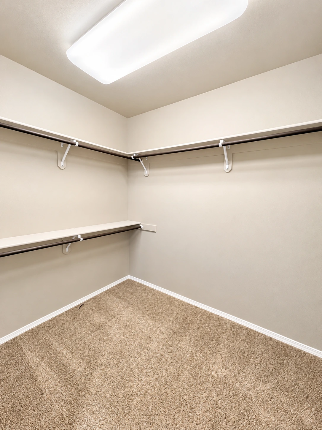 An empty corner with carpet, wall-mounted shelves and hanging rods, and a bright ceiling light.
