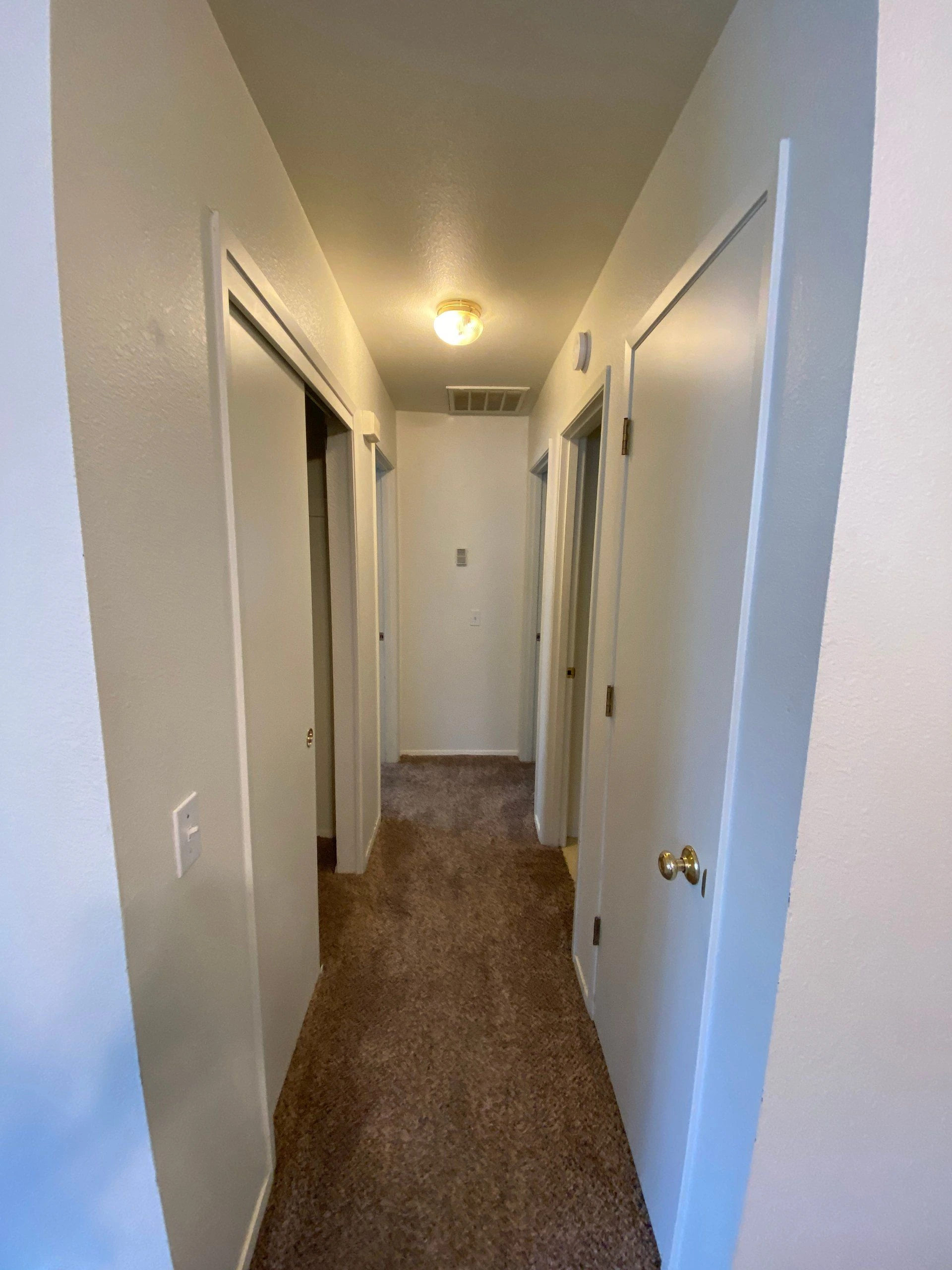A narrow carpeted hallway has several doors along both sides, a ceiling light, and a ceiling vent.