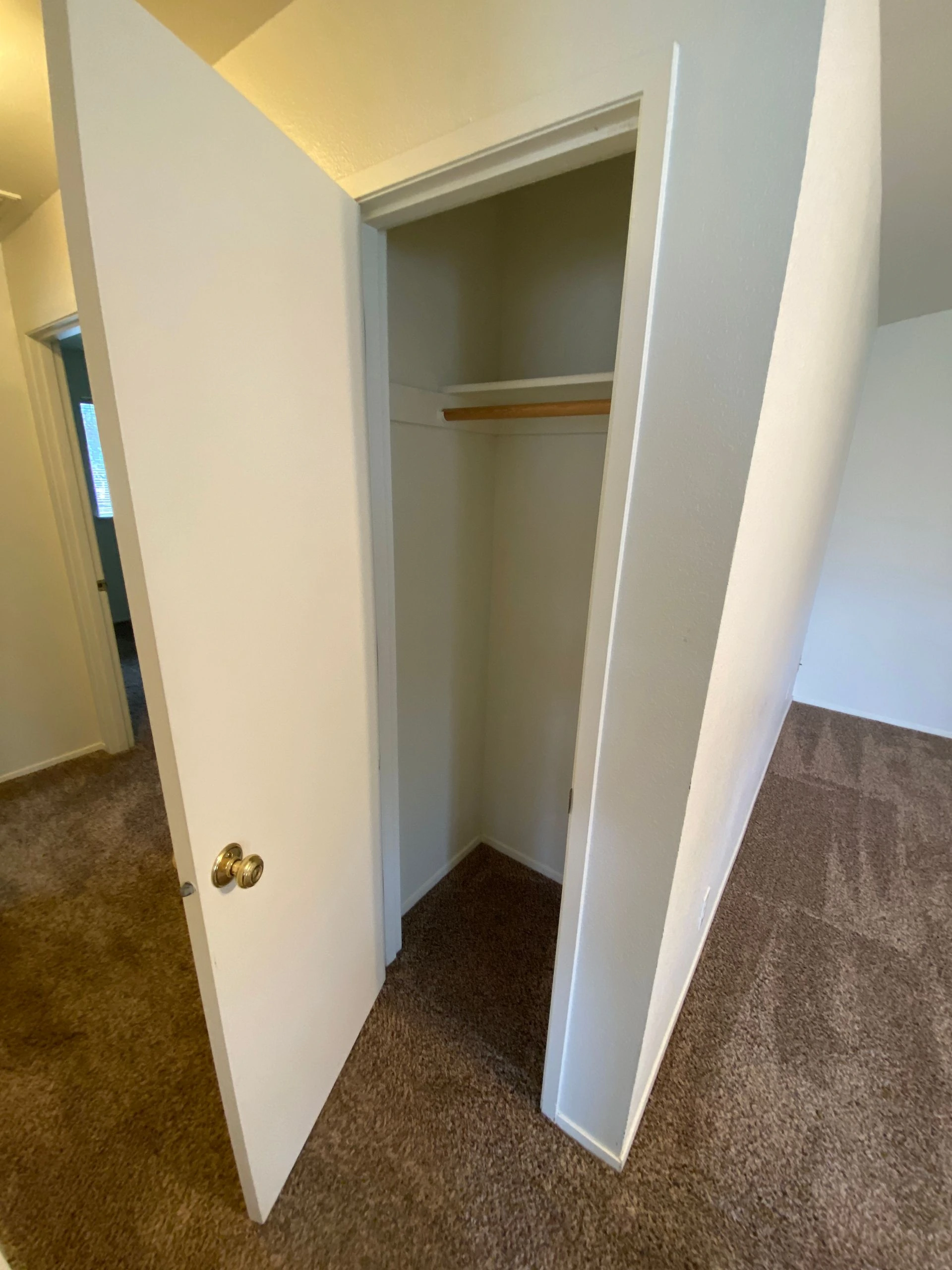 An open white door reveals a small carpeted closet with a wooden hanging rod.