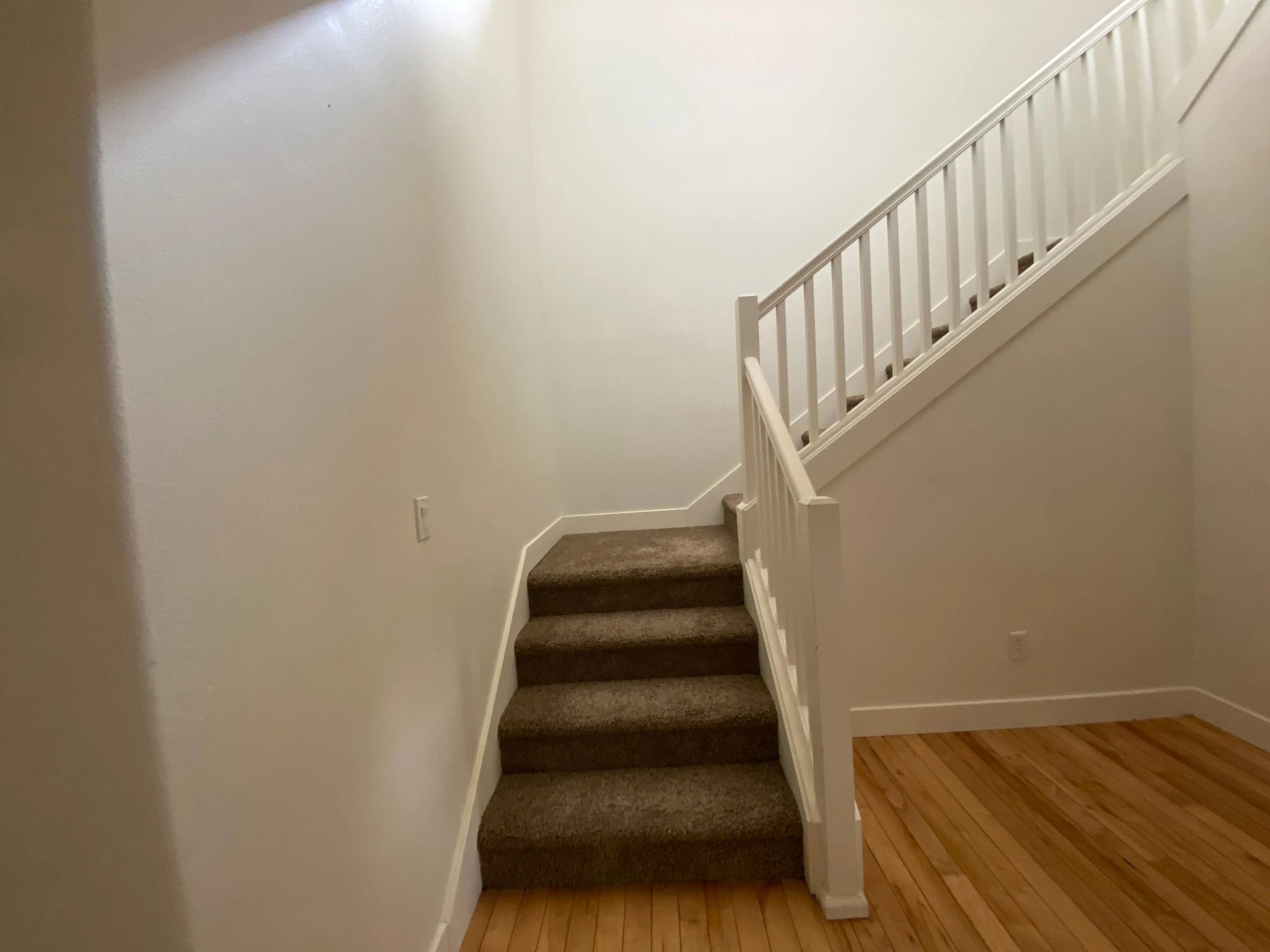Carpeted stairs rise beside a white railing, with hardwood flooring at the bottom.
