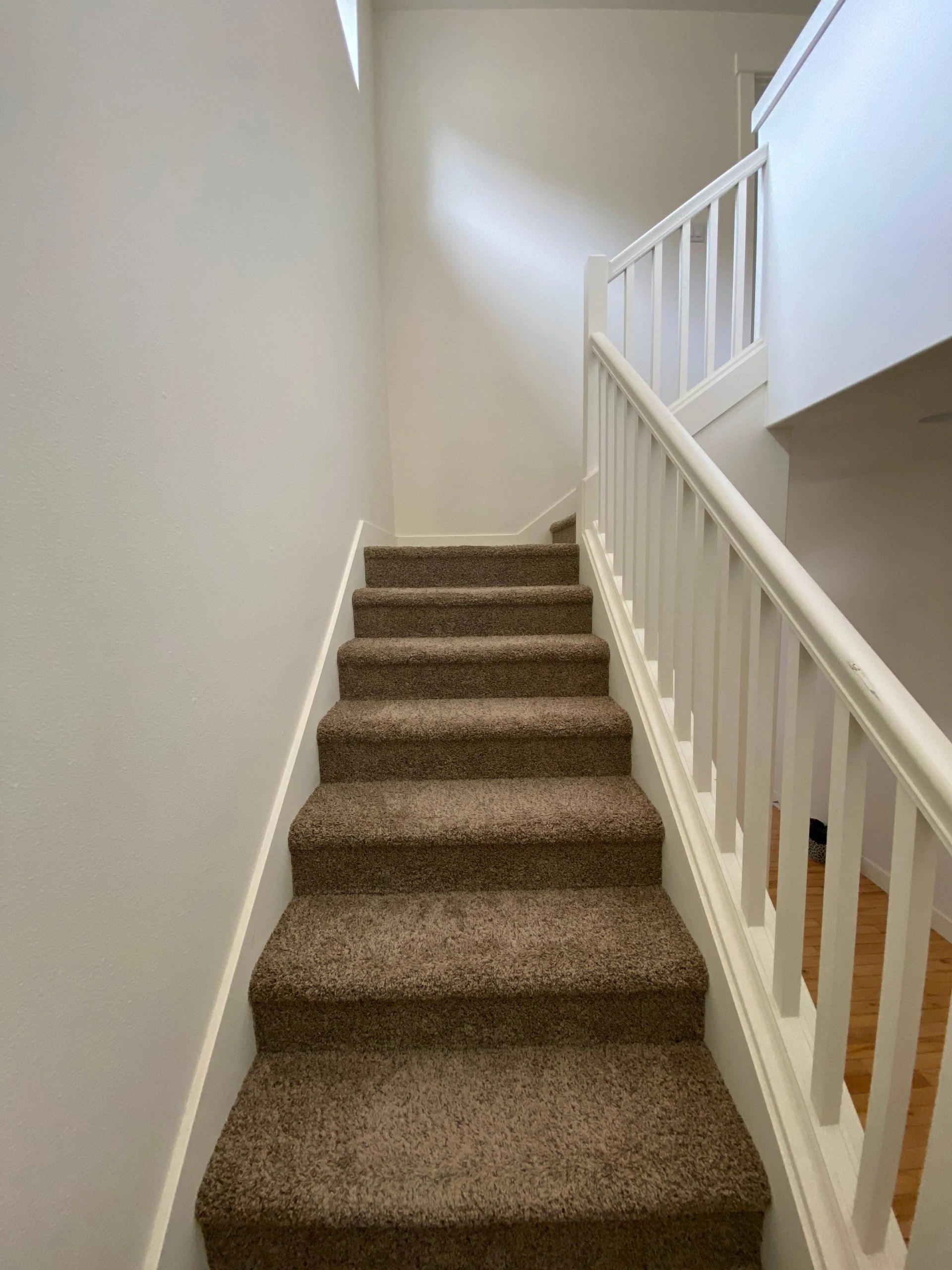 Carpeted stairs rise to a landing beside a white railing, with white walls and a narrow skylight above.