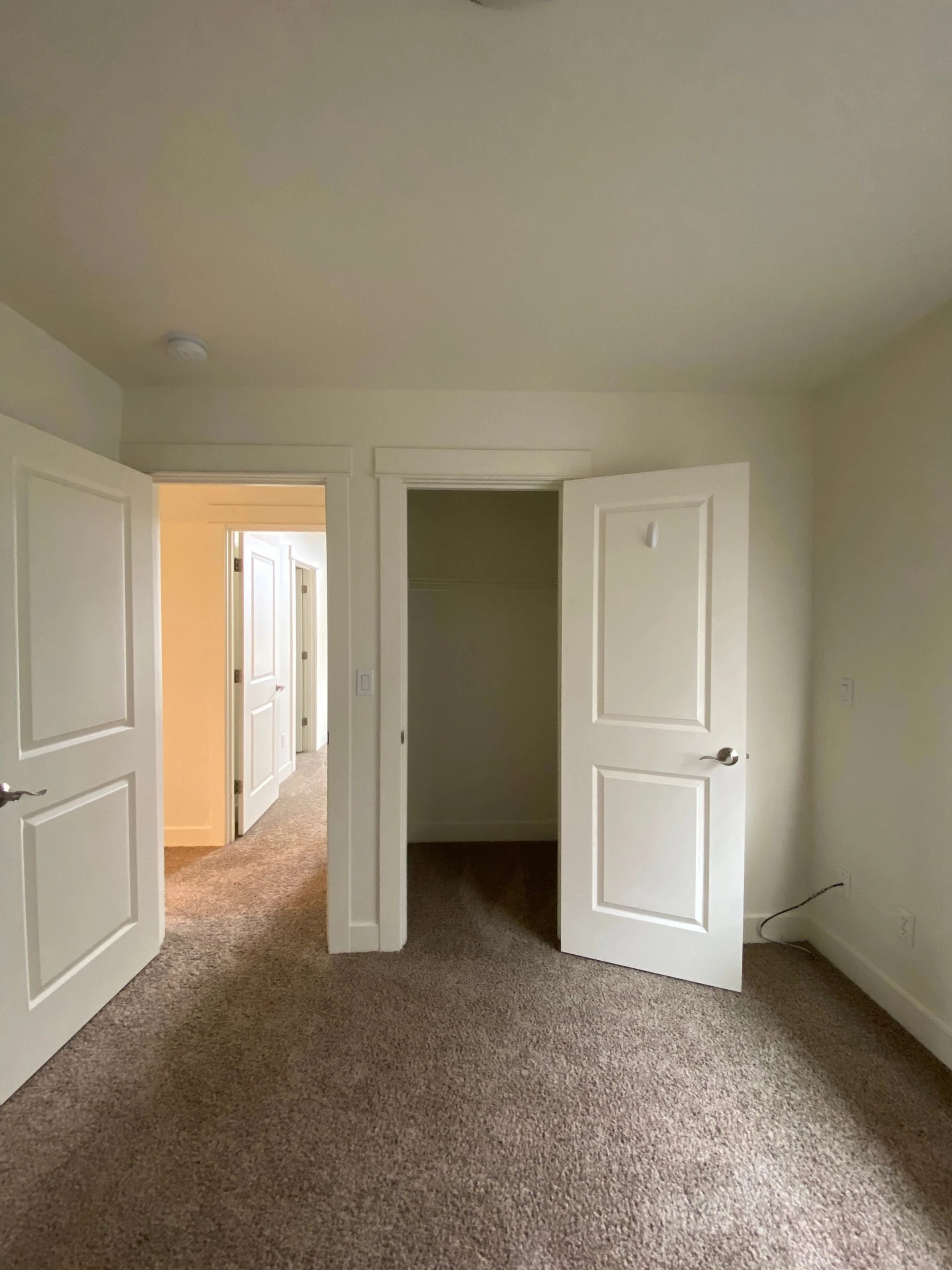 Carpeted room with two open white doors, one opening into a hallway and one into a dark, empty closet.