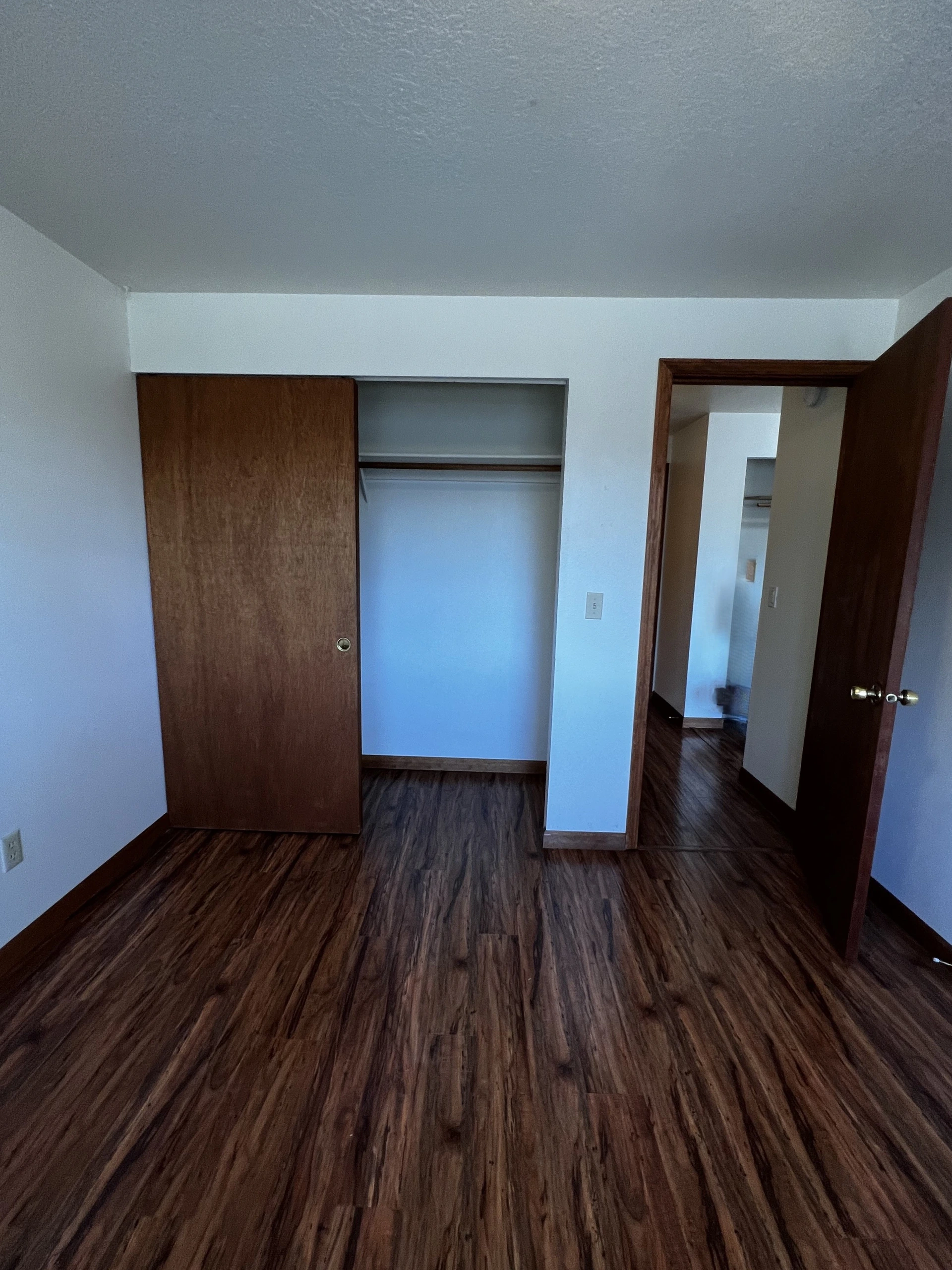 Room with dark wood flooring, a partially open closet with shelves, and an open wooden door.