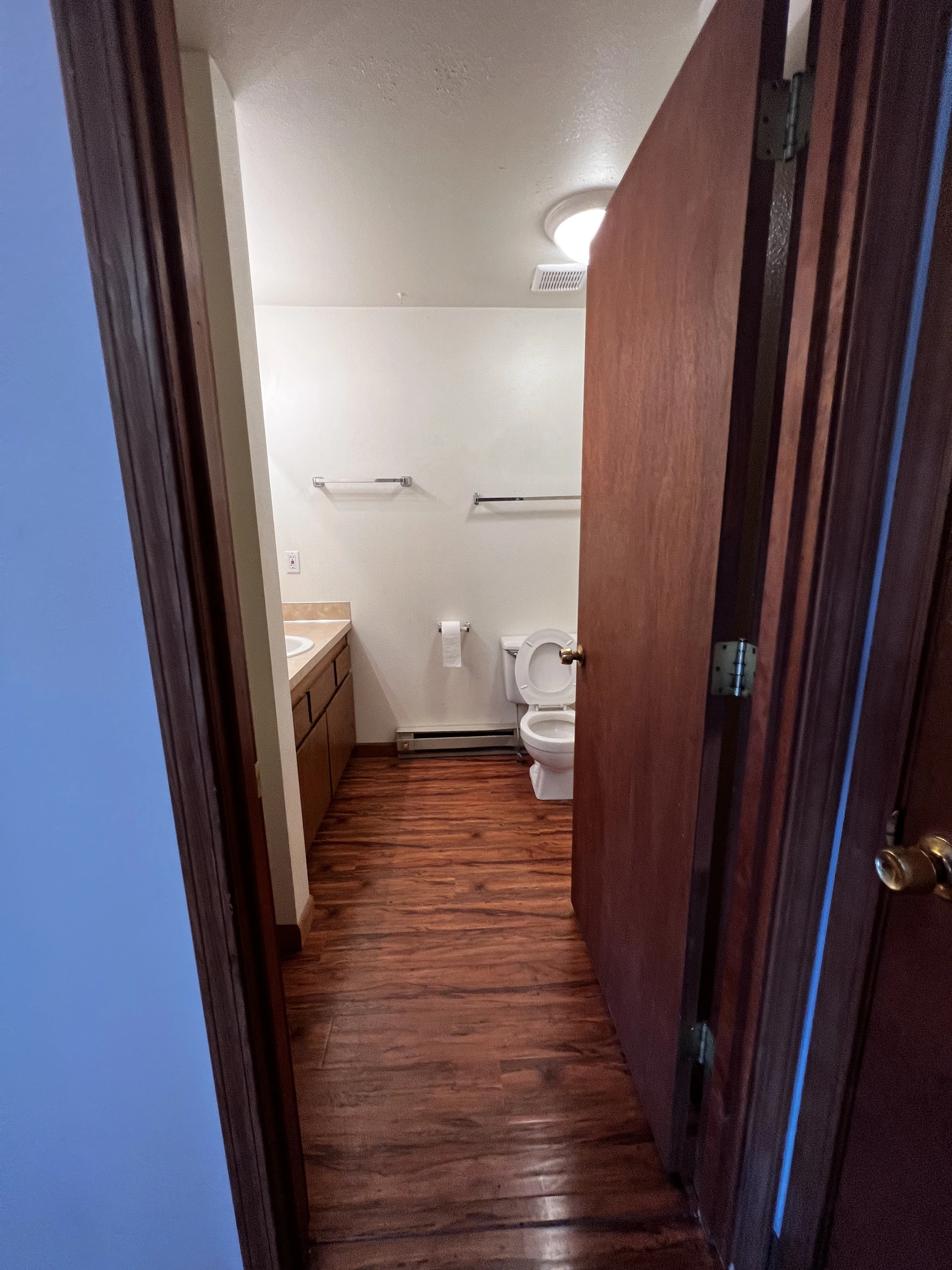 Bathroom visible through an open wooden door, with a toilet, vanity, towel bars, ceiling light, and wood-patterned flooring.