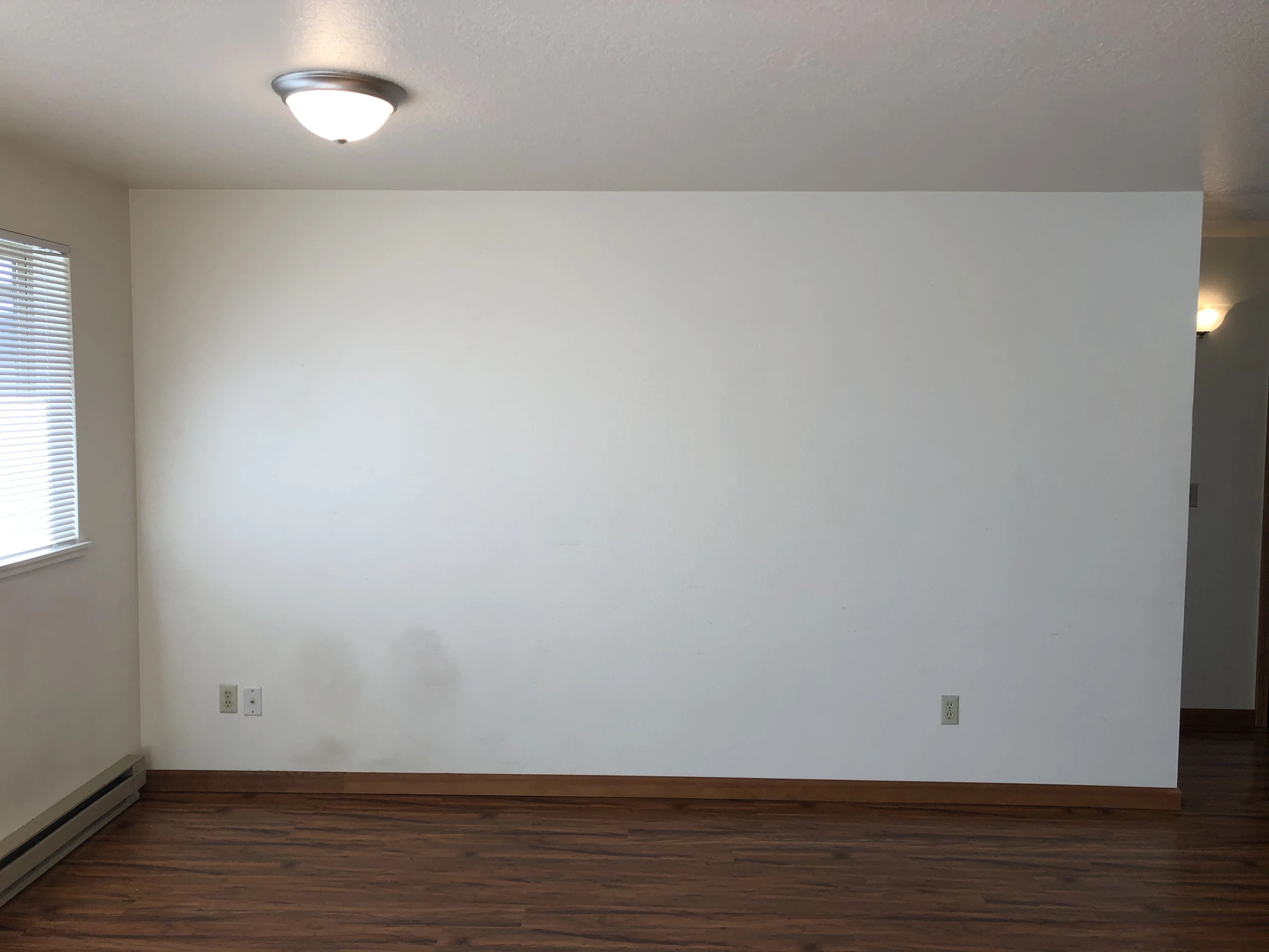 Empty room with a large light-colored wall, wood floor, ceiling light, window blinds, and electrical outlets.
