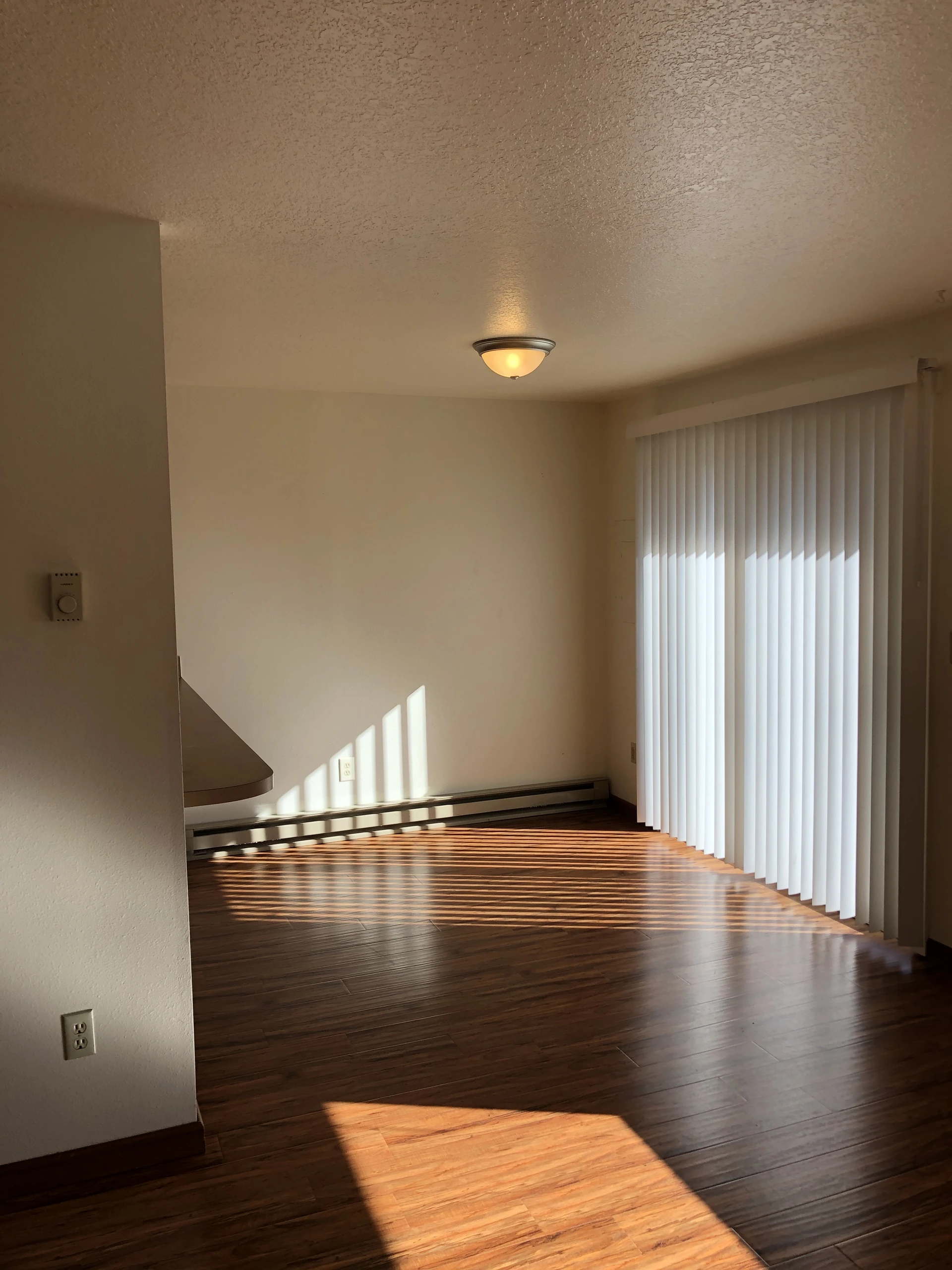 Empty room with dark wood flooring, a lit ceiling fixture, vertical blinds, and sunlight casting striped shadows across the floor.