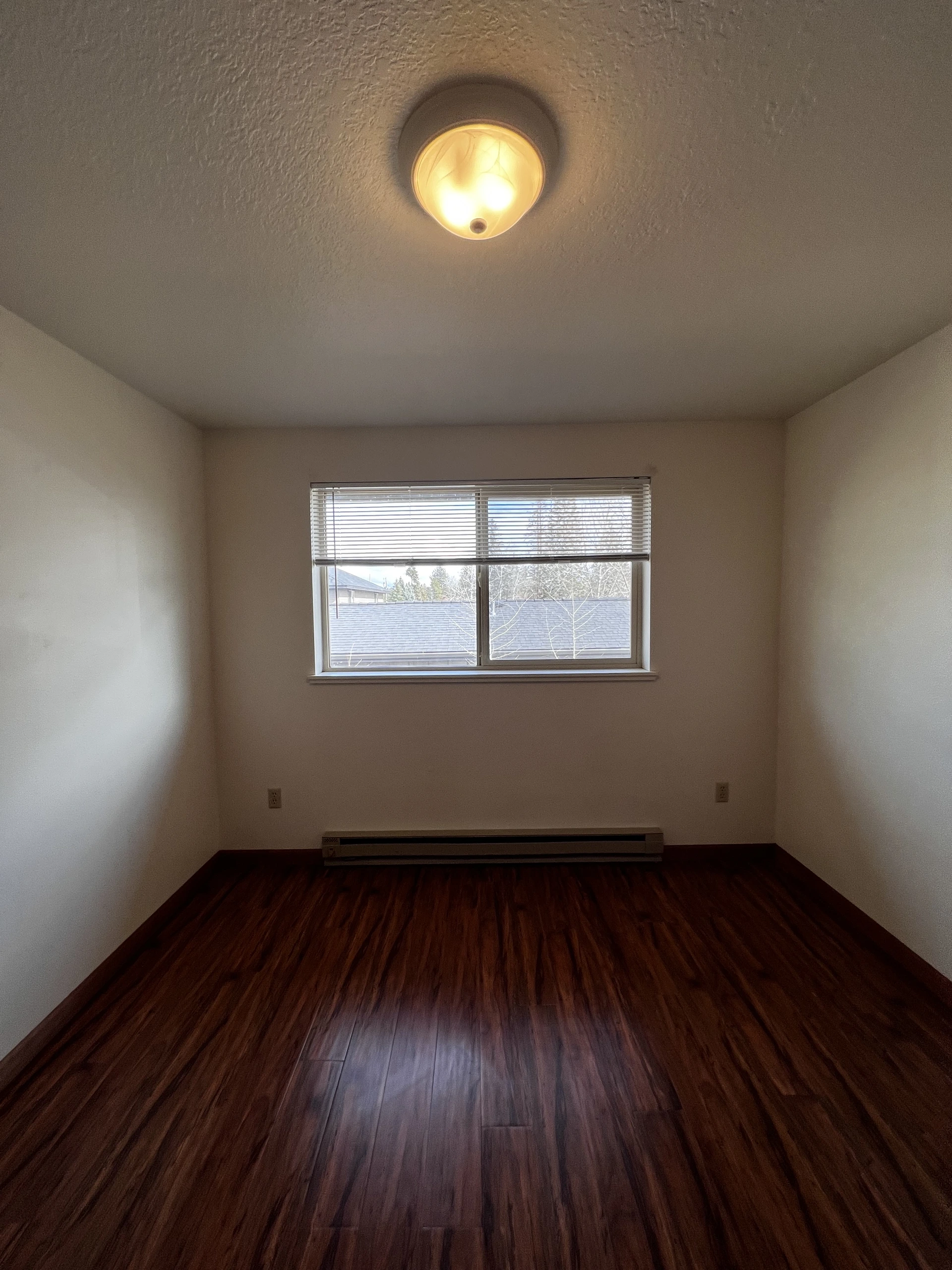 Empty room with dark wood flooring, light walls, a ceiling light, a window with blinds, and a wall-mounted heater.