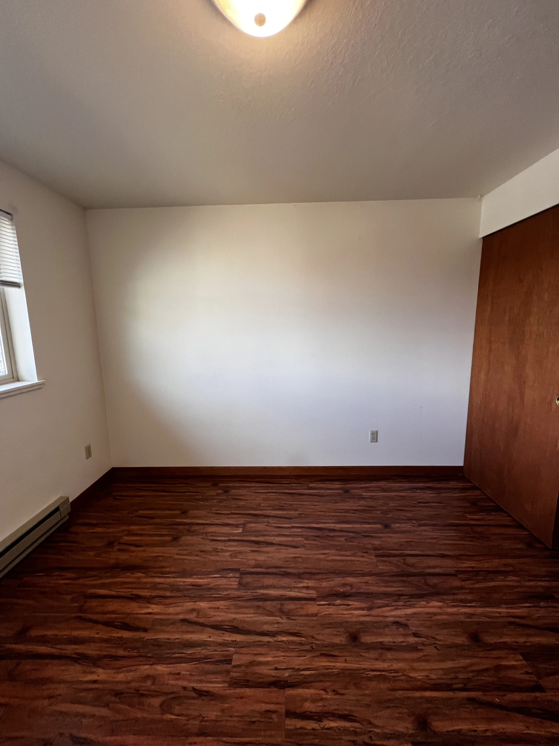 Empty room with white walls, dark wood floor, a window on the left, a ceiling light, and a wooden door on the right.