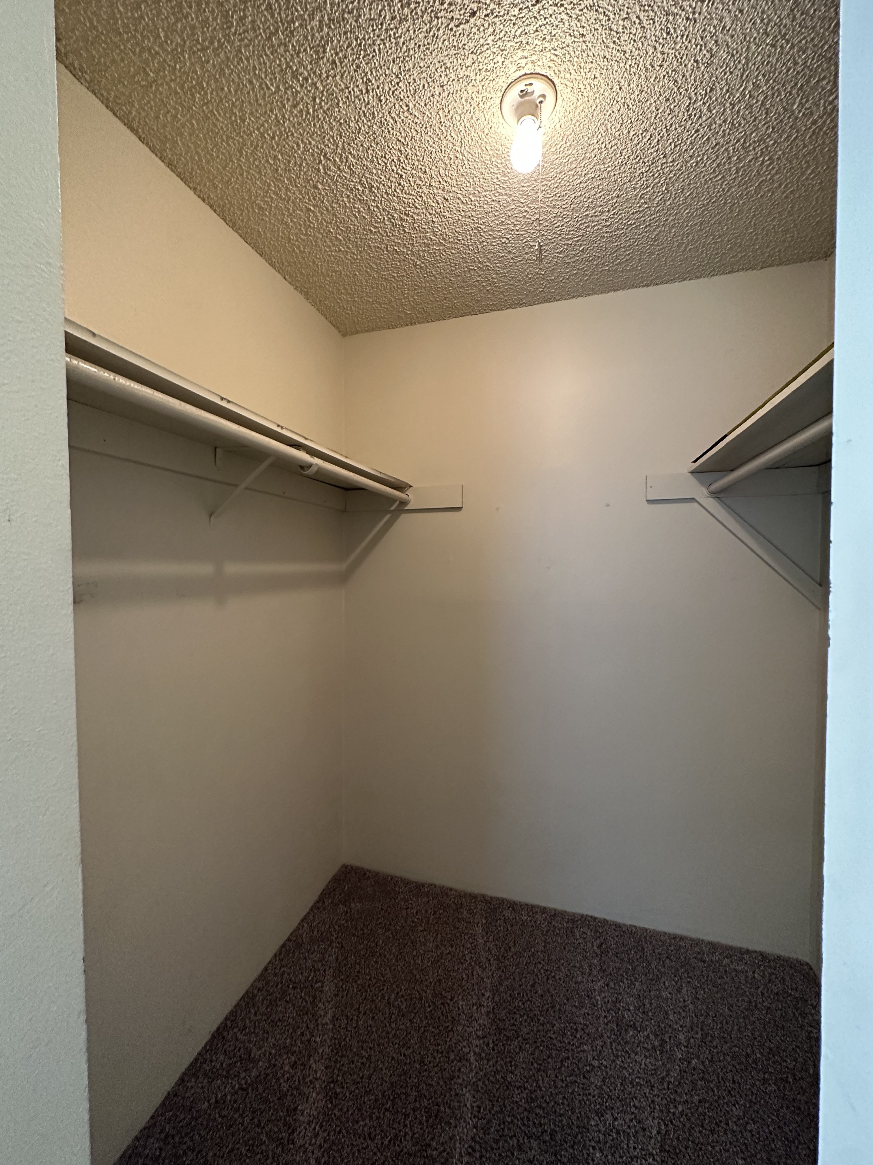 An open closet has a lit ceiling bulb, hanging rods along both sides, and dark carpet.