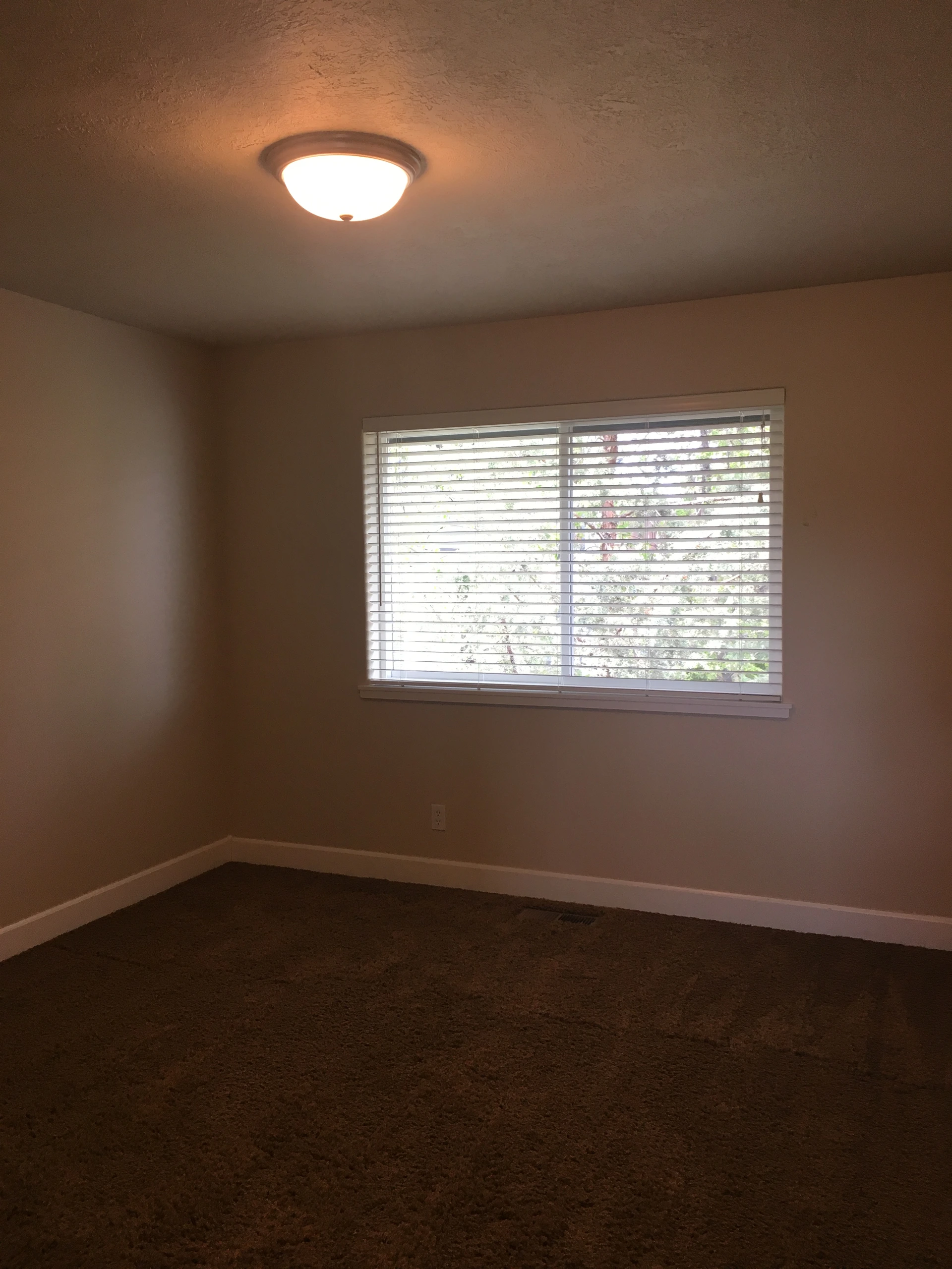 An empty room with brown carpet, a window with horizontal blinds, and a lit ceiling fixture.