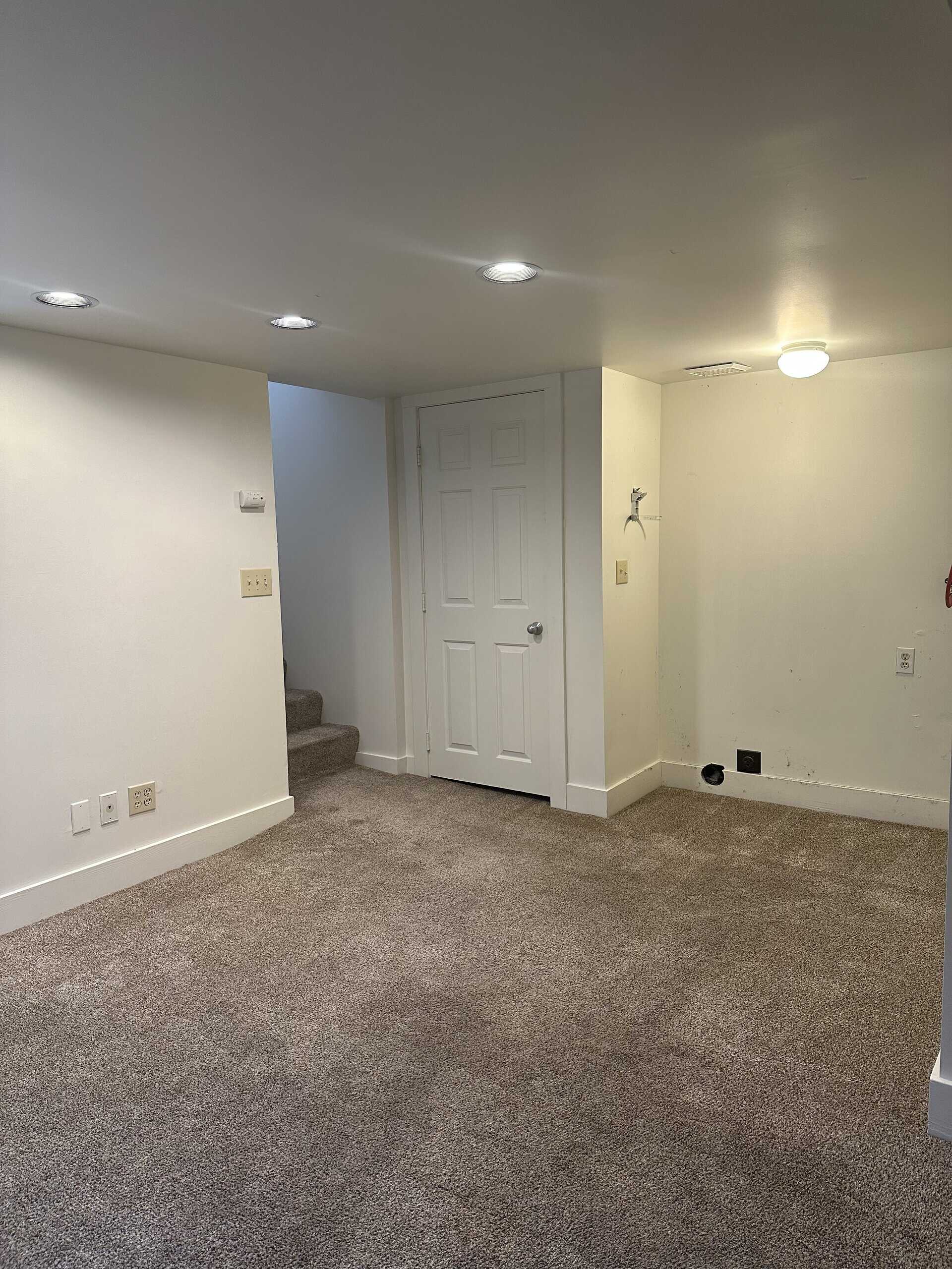 A carpeted room has a white paneled door, carpeted steps beside it, and several ceiling lights.