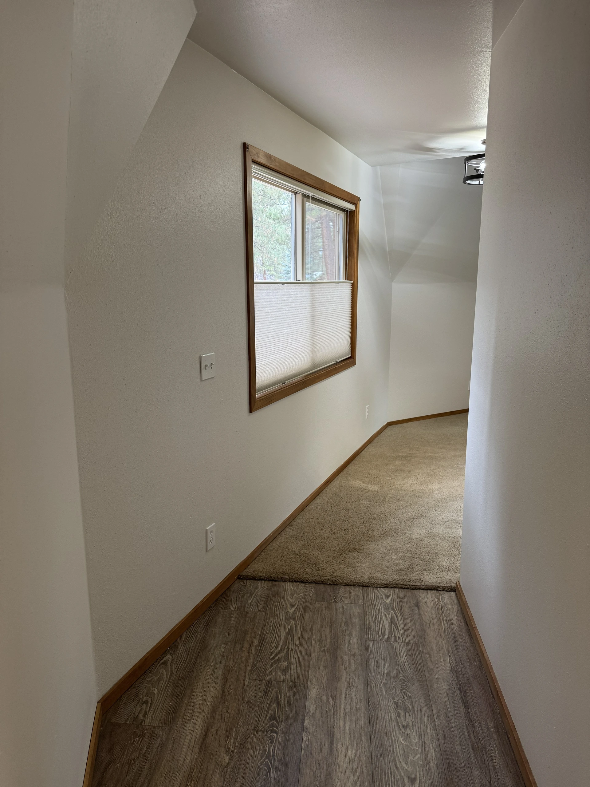 19_.jpg