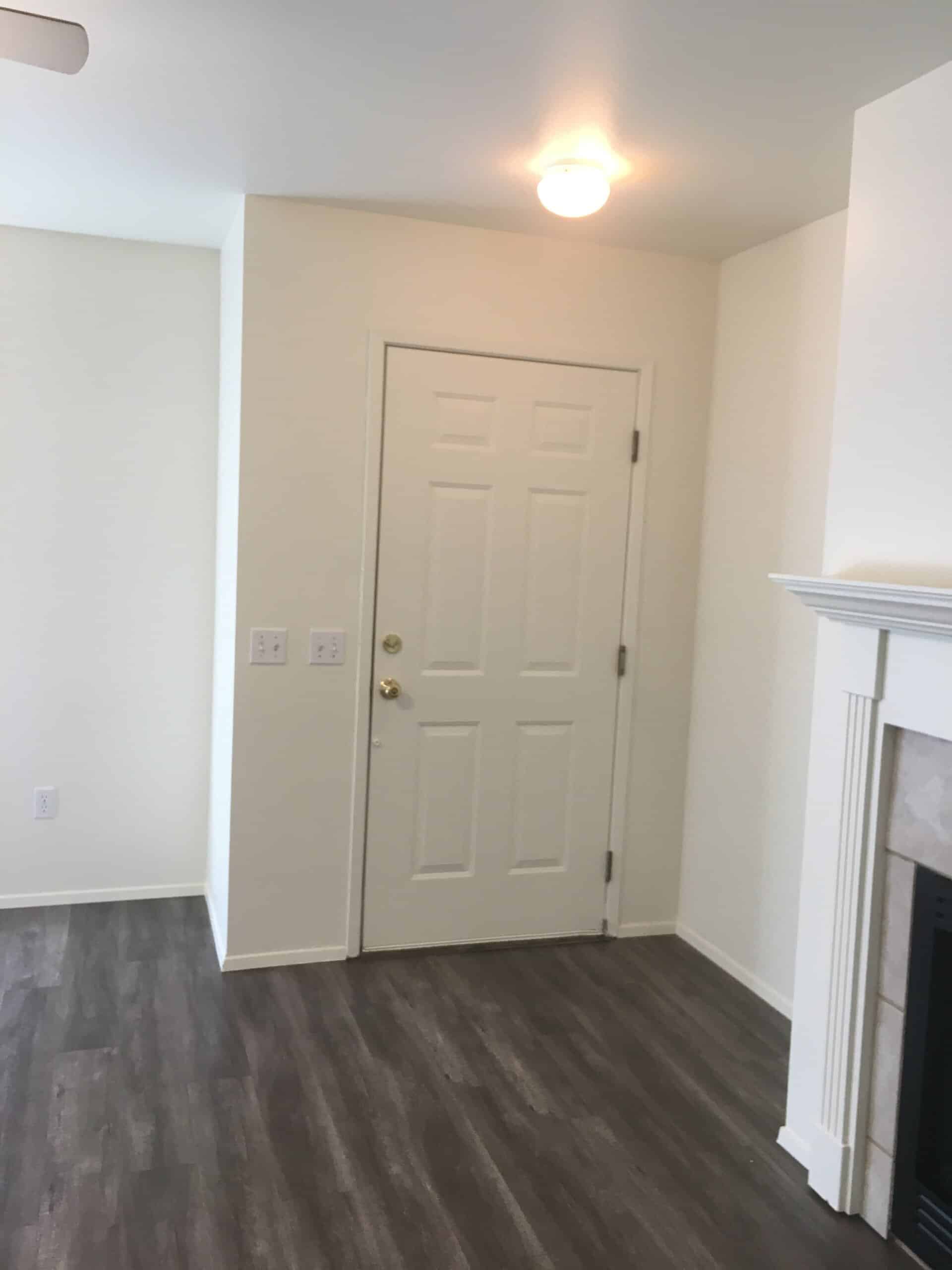 An entry area with a paneled door, dark plank flooring, a ceiling light, and part of a fireplace at right.