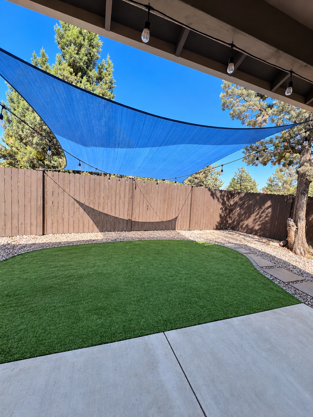 16_Backyard 2.png