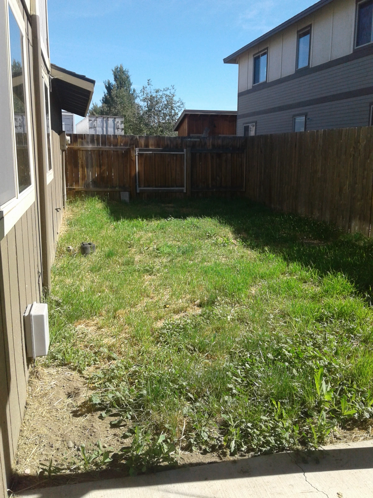 A fenced yard with patchy grass and weeds beside a house.