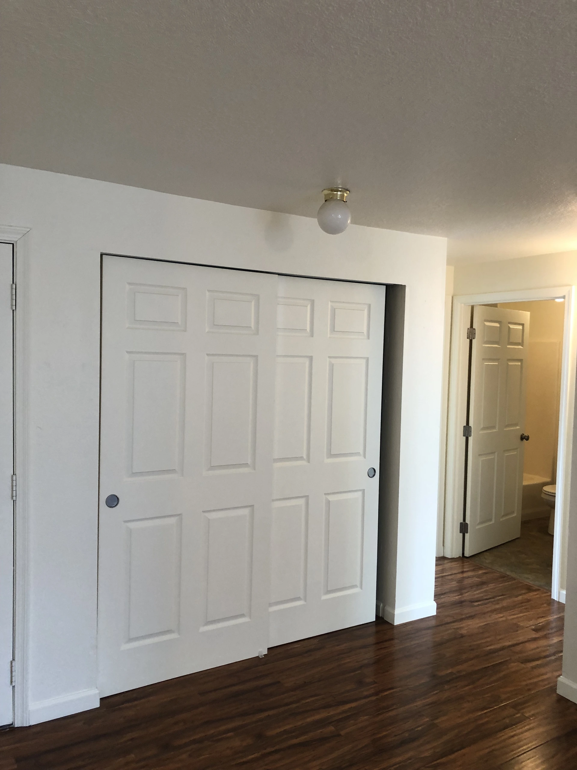 White sliding closet doors with recessed panels stand beside an open doorway; dark wood flooring and part of a toilet are visible.