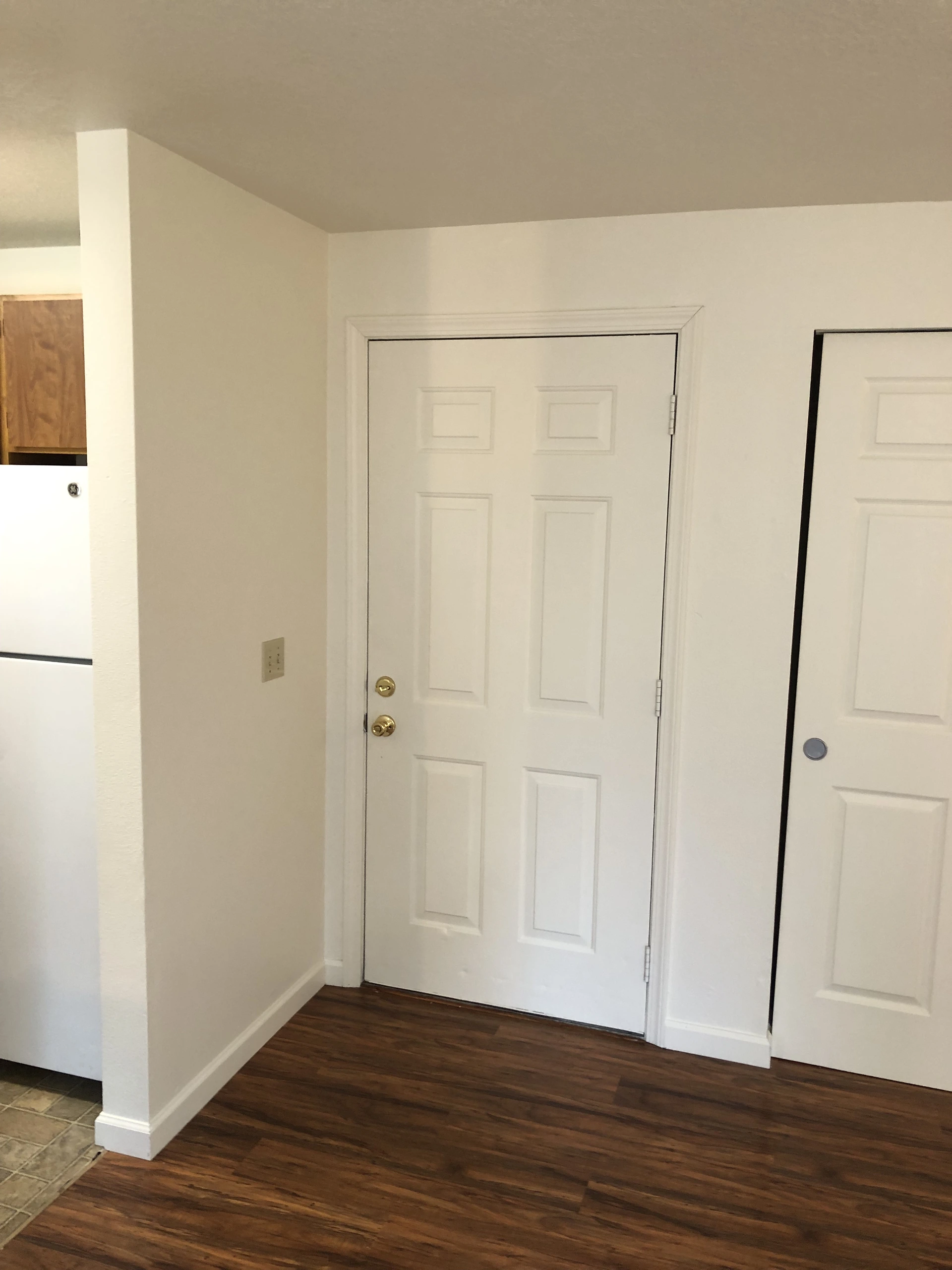 A white paneled door with brass locks stands beside a second white door above dark wood flooring.
